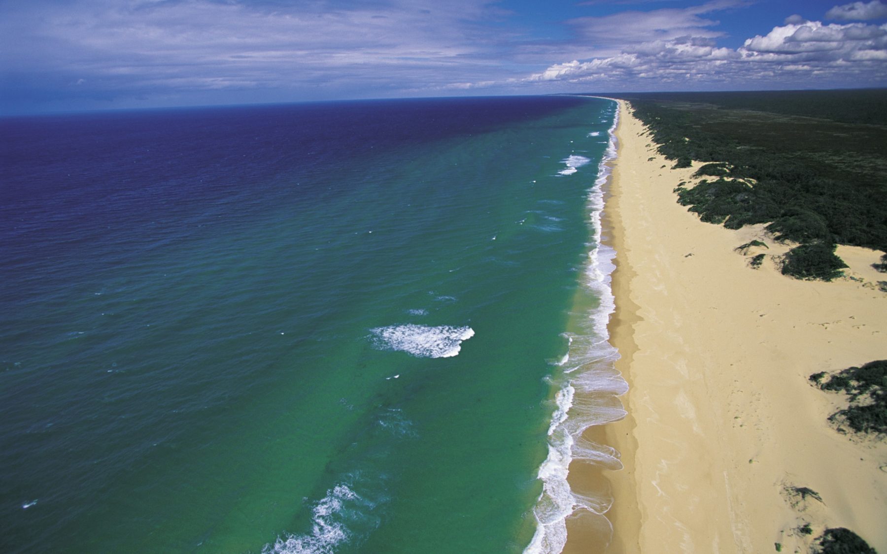 Mile Beach, Victoria Australian Geographic