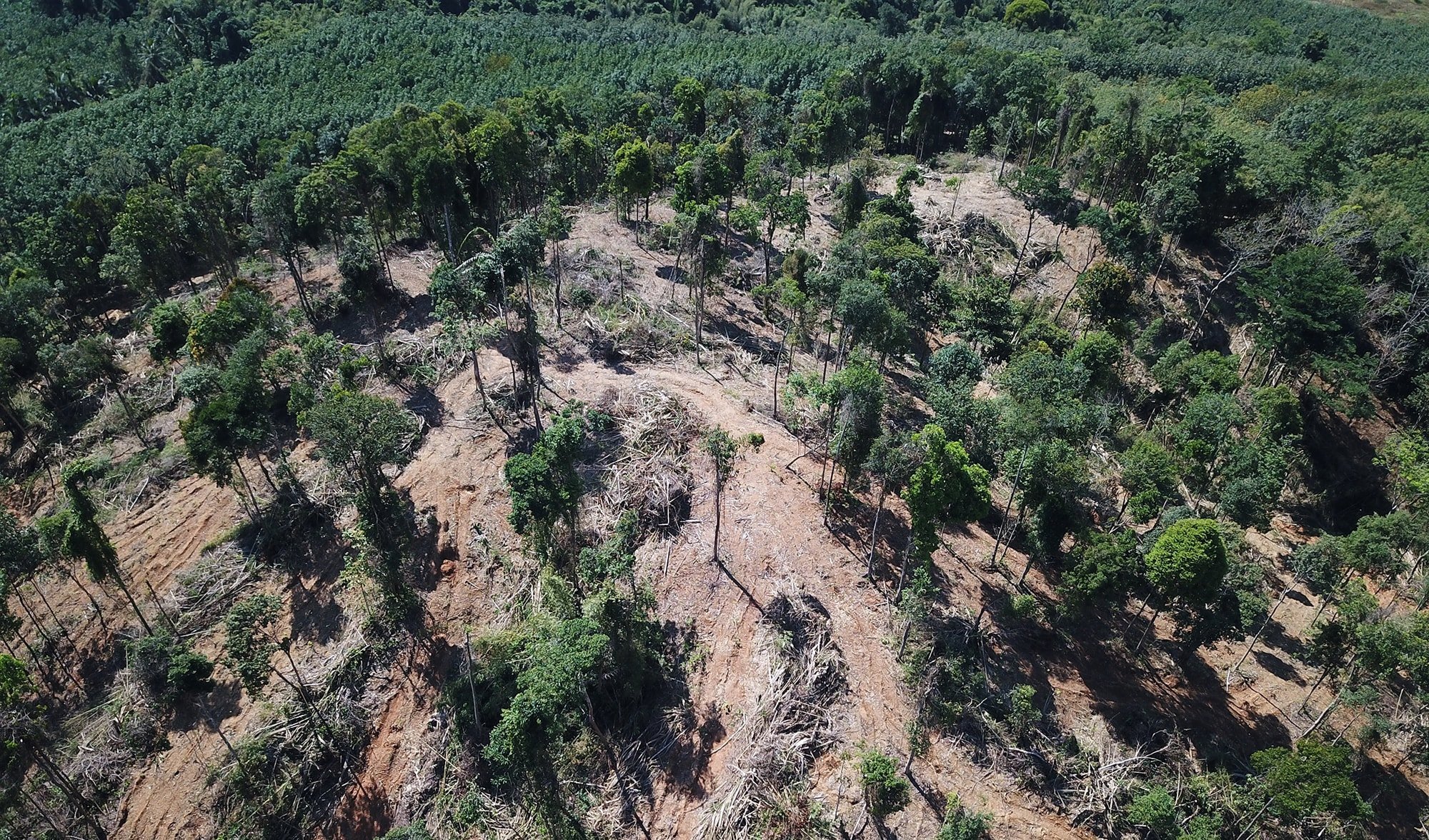 drone footage land clearing