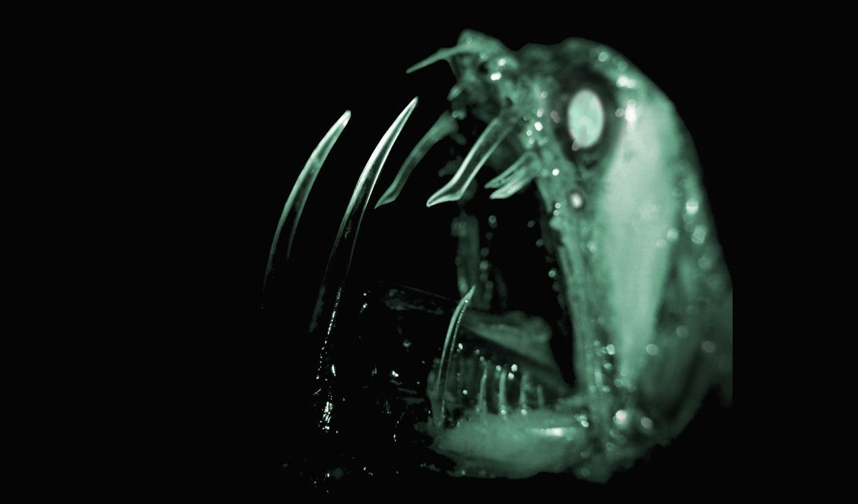 glass fang