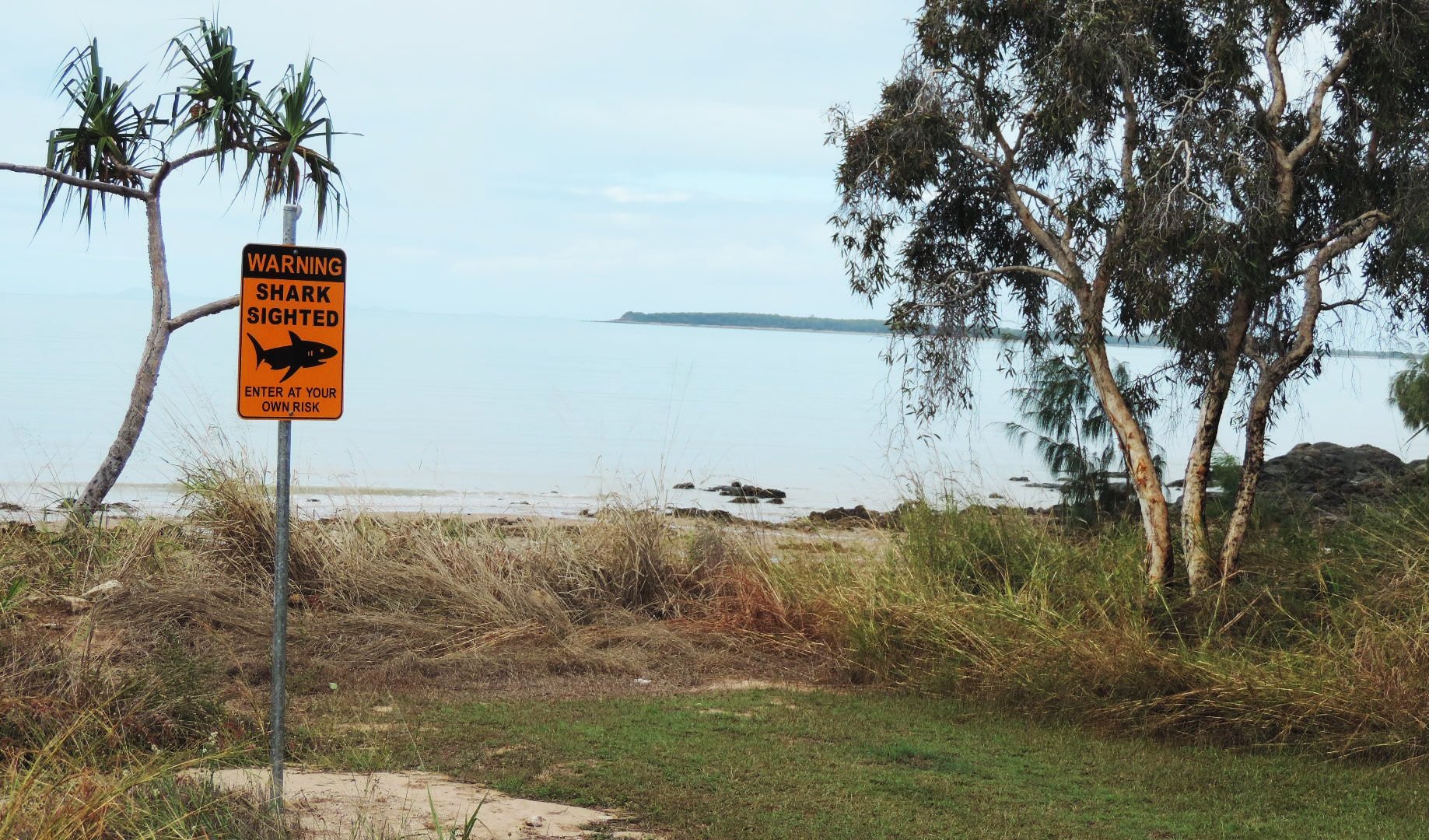 shark warning sign
