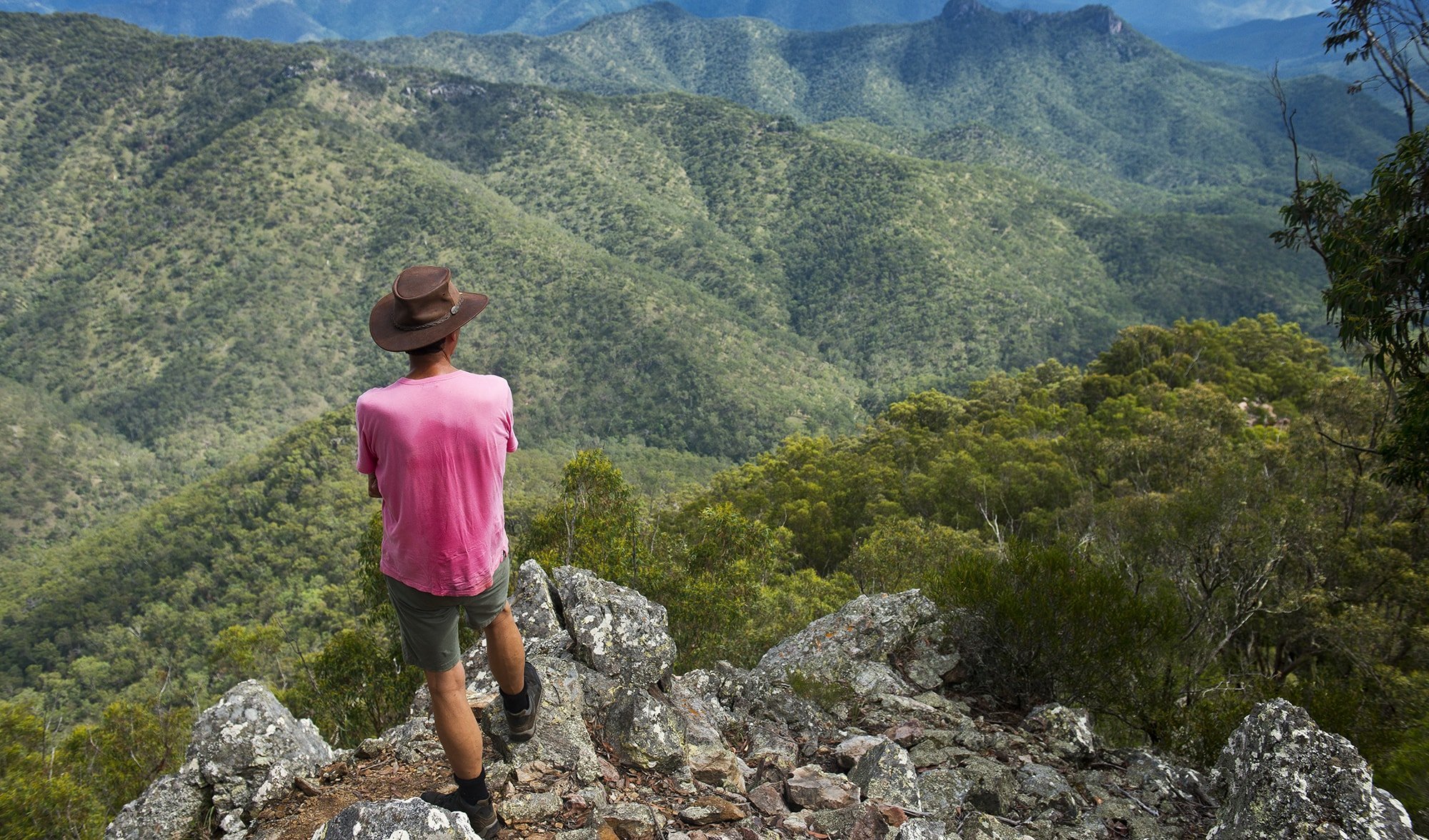 green gully