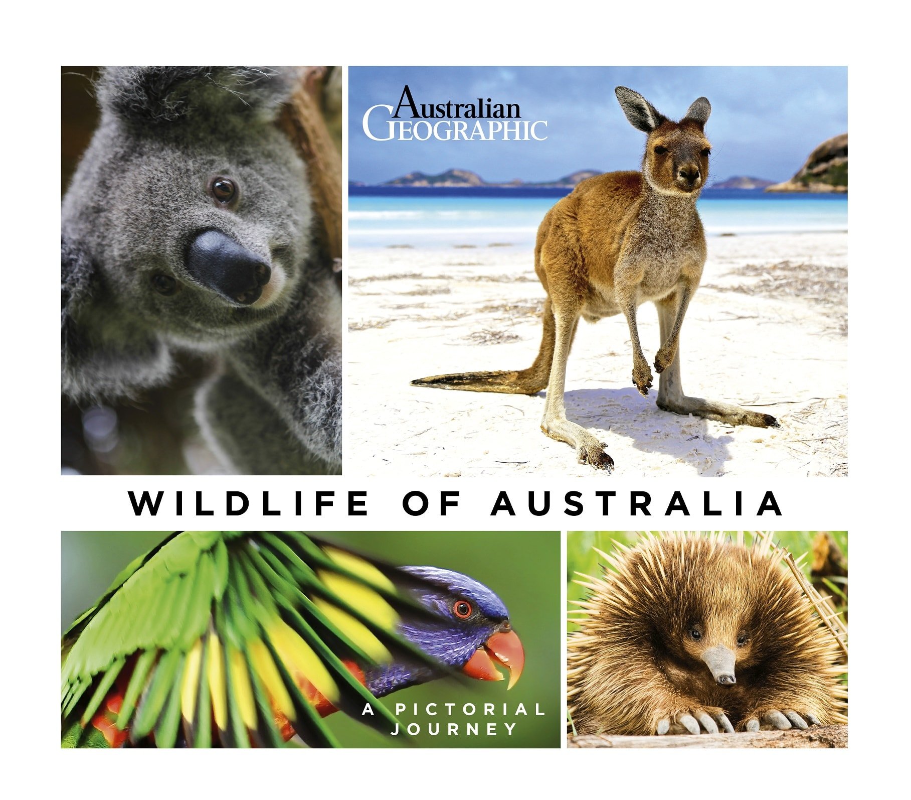 Australian Geographic catalogue Australian Geographic