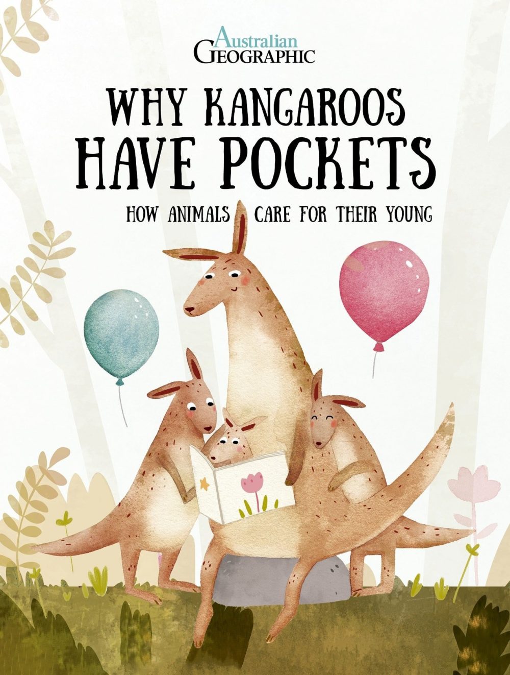 Why Kangaroos Have Pockets How Animals Care For Their Young