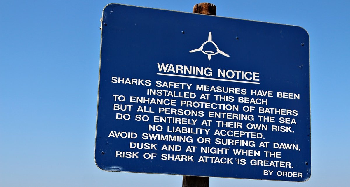 shark population numbers
