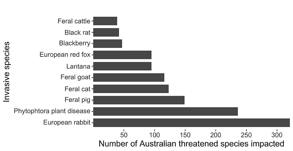 Rabbits top list of Australia’s 10 worst invasive species
