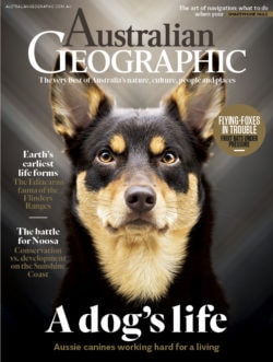 Tumbleweeds - National Geographic Magazine