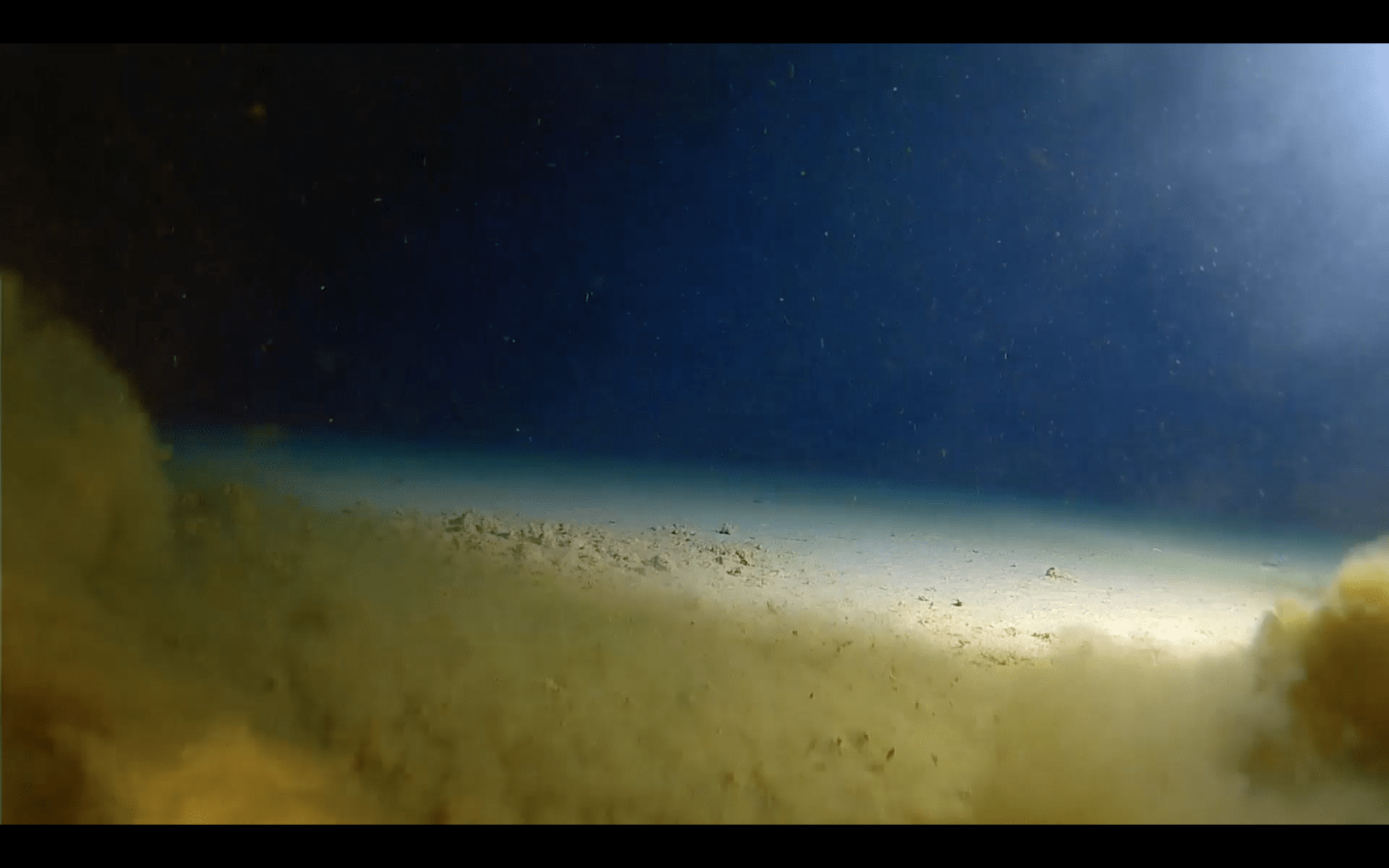 Deepest Ever Sea Dive Discovers Plastic Rubbish