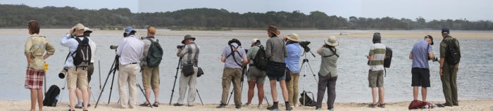 Aleutian Twitchers