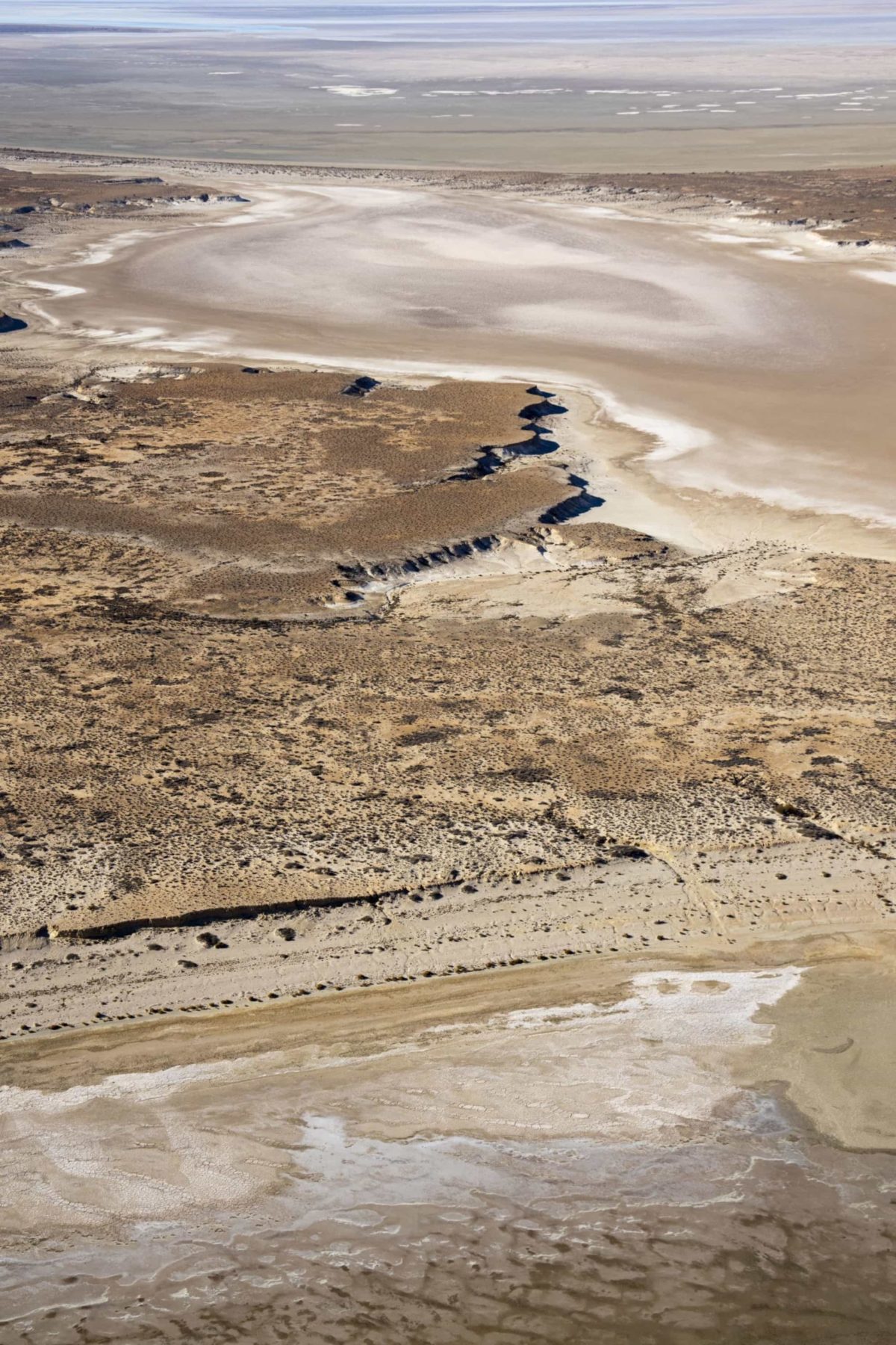 The dry salty crust with life-giving water on the horizon.