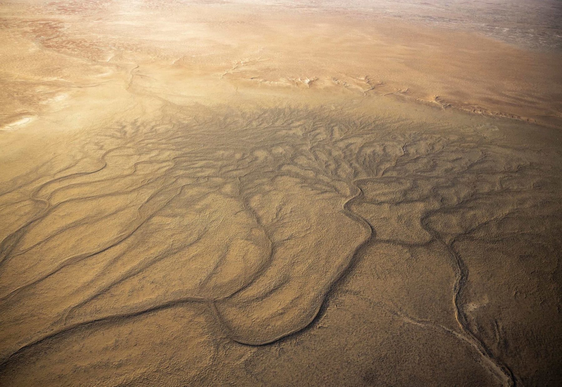 Old pathways run deep, carved into the dry earth.