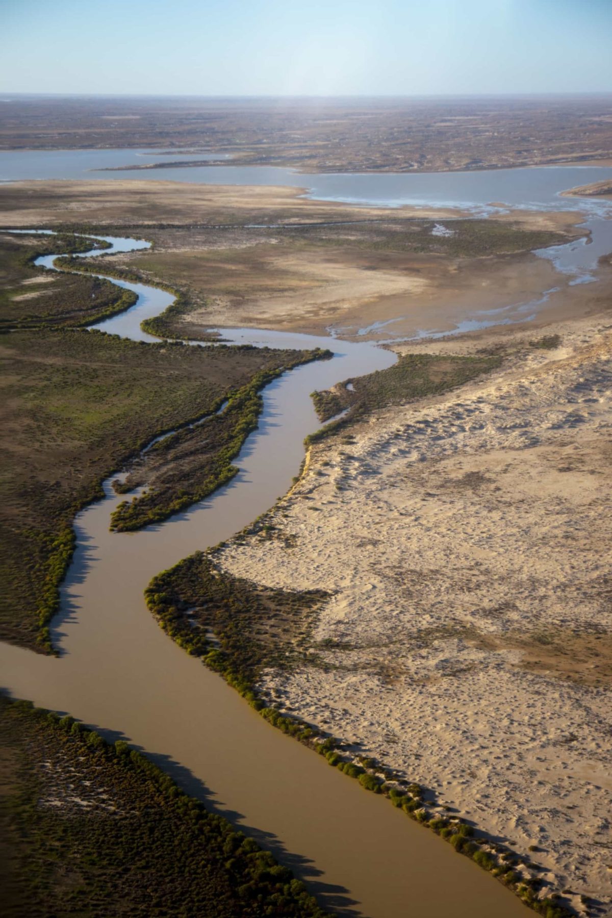 As water funnels into Lake Eyre via narrow channels, new green growth develops along its banks.