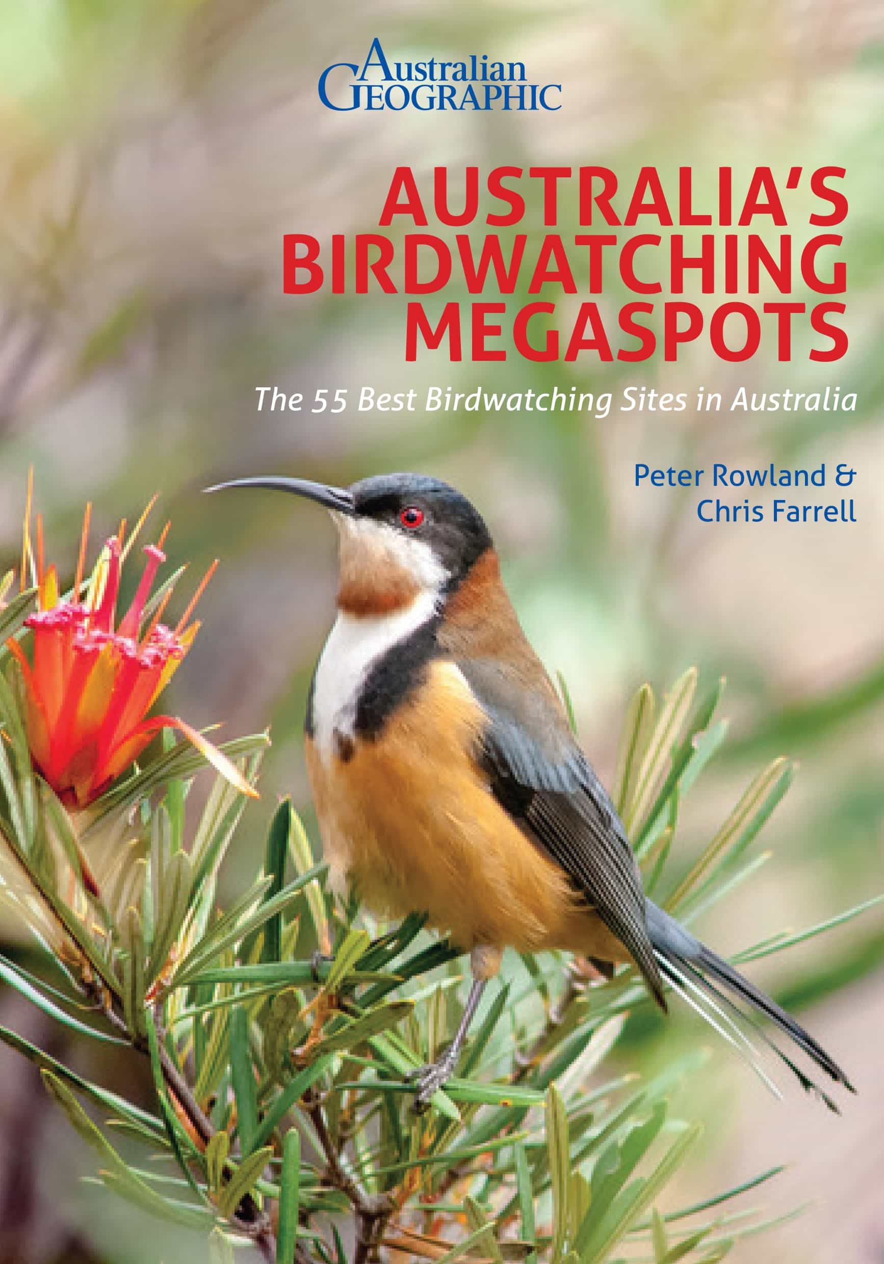 Australia's Birdwatching Megaspots Australian Geographic