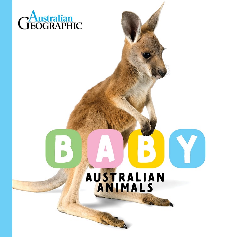 Baby Australian Animals Australian Geographic