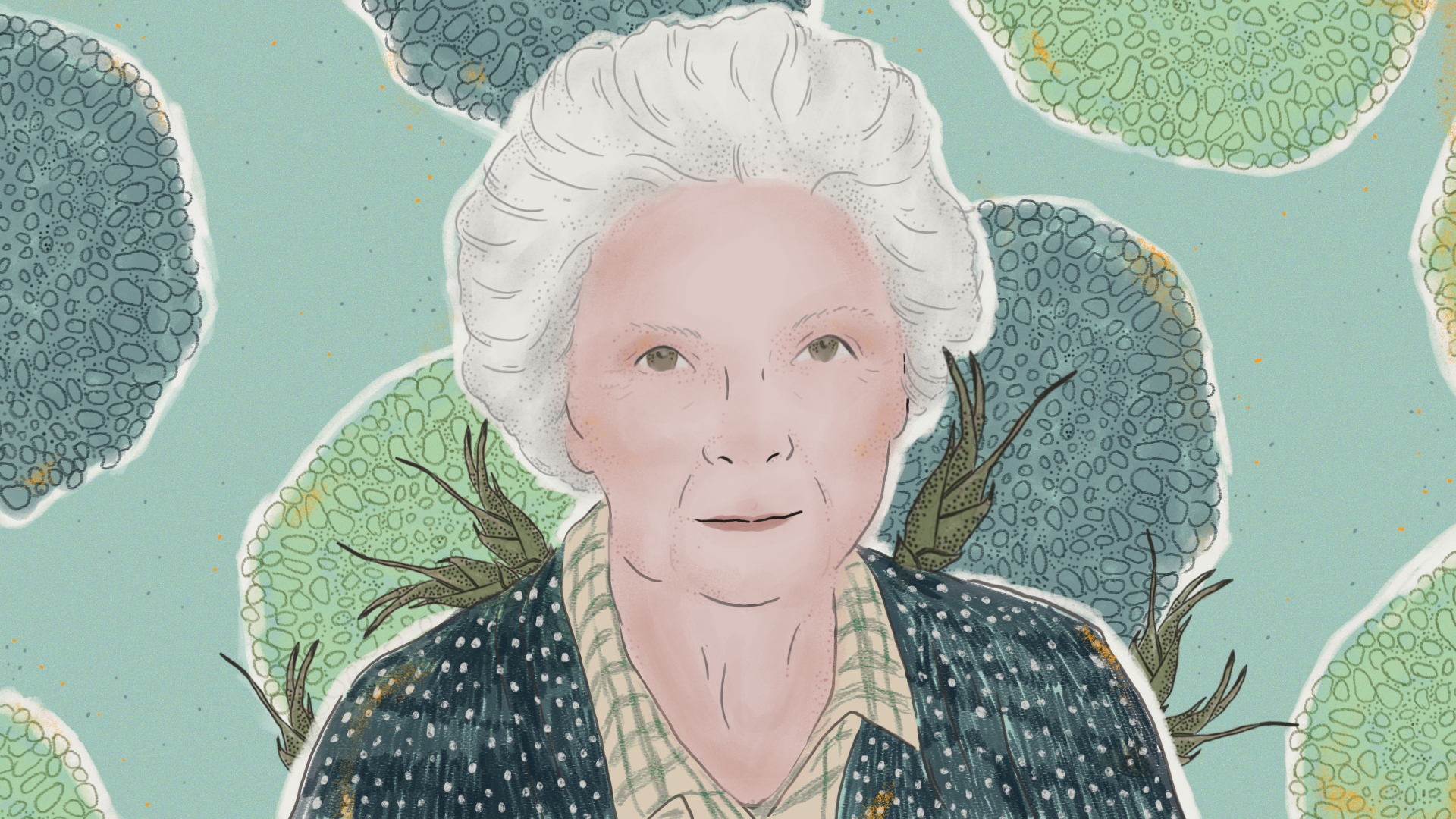 ilma grace stone