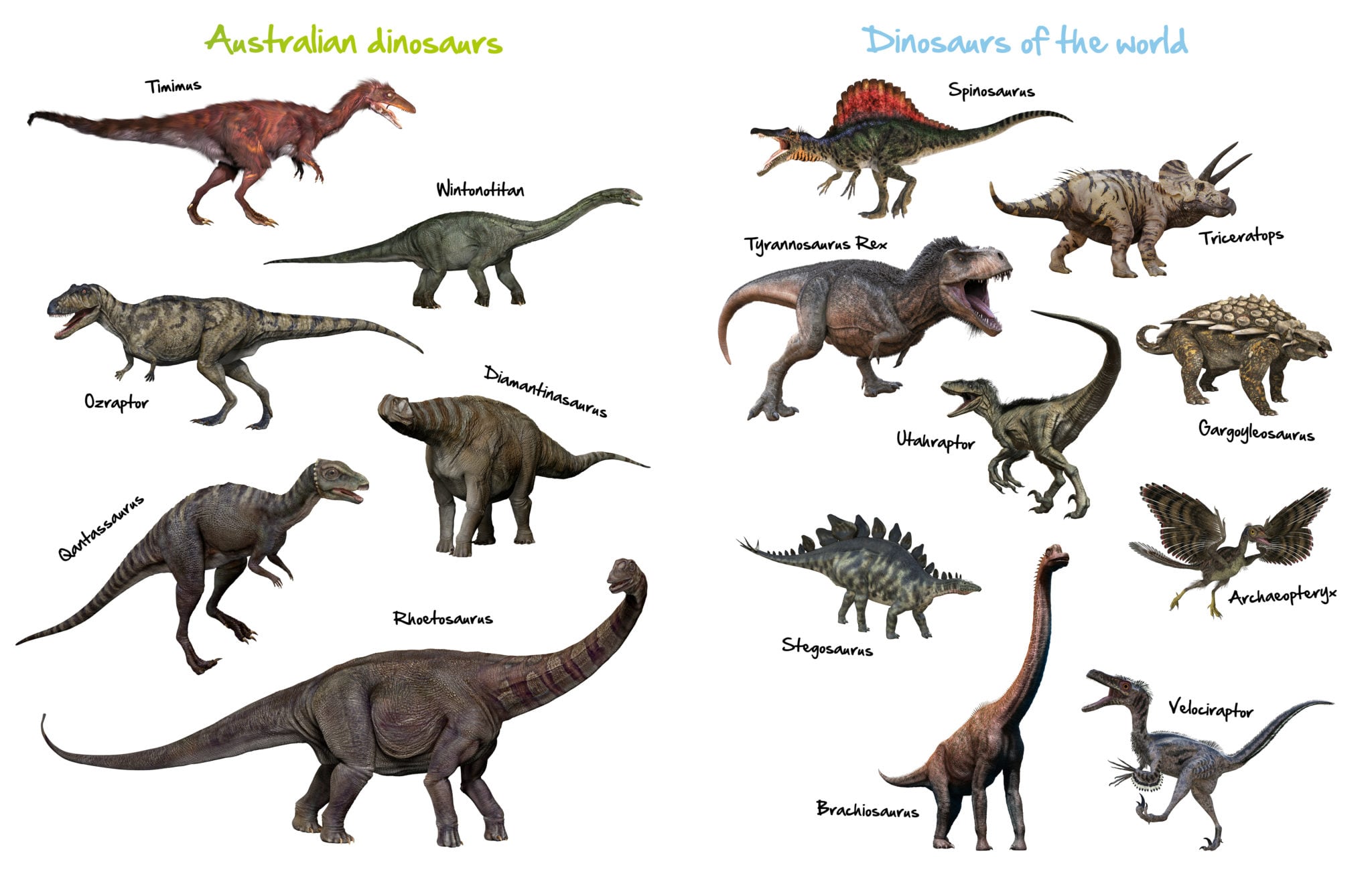 list of australian dinosaurs