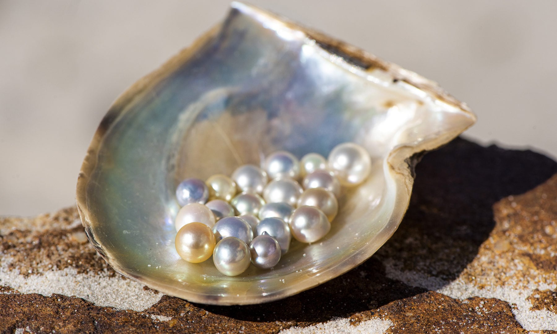 Video Pearl industry offers hope to oyster farmers in NSW Australian