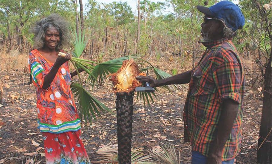 Native Australians