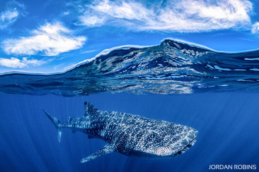 How to shoot over/under images with expert Jordan Robins