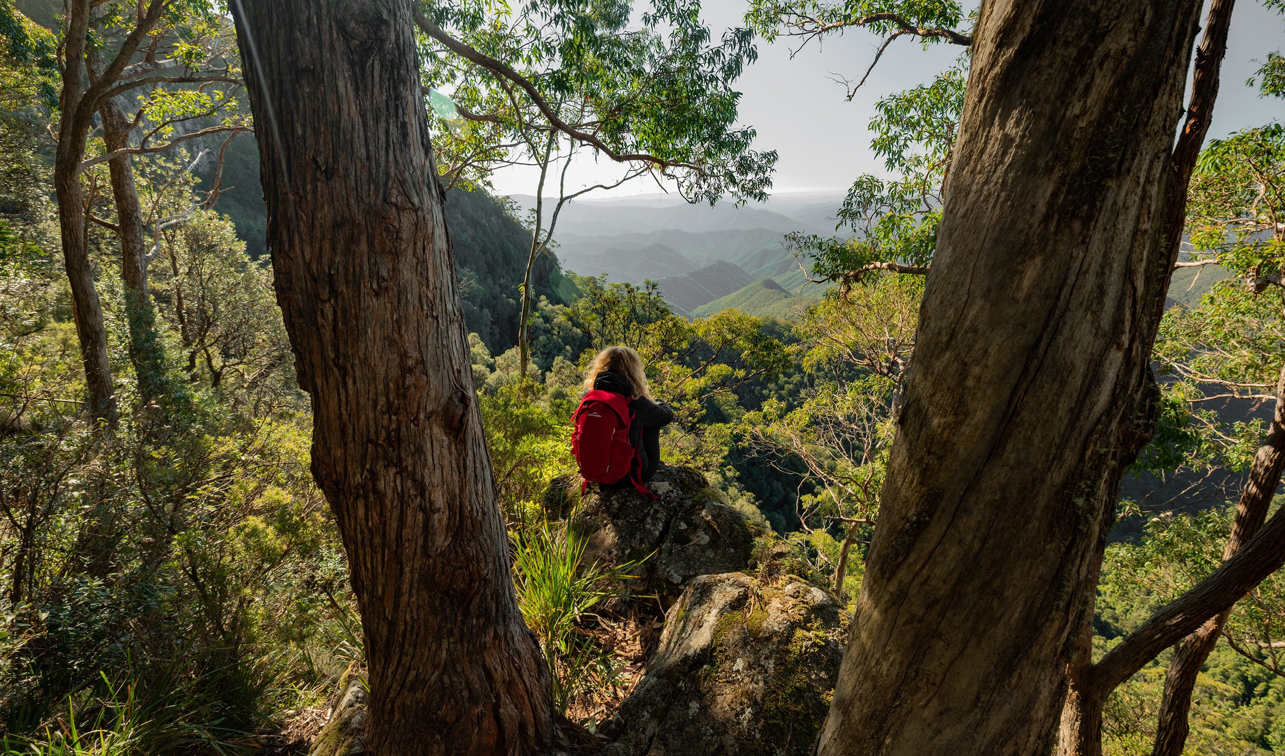 travelling worker in the bush