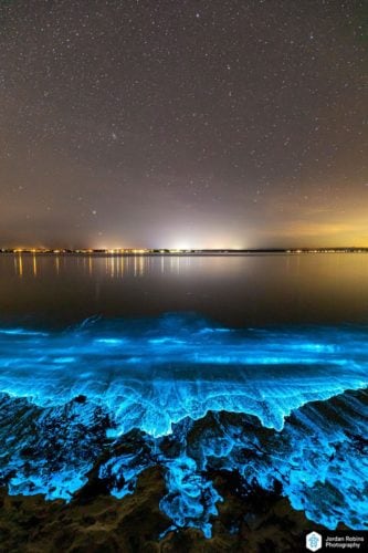 Bioluminescence lights up Jervis Bay on Anzac Day