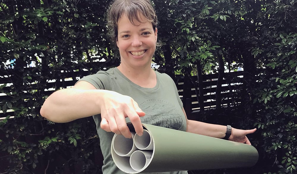 A guide to making a frog hotel with frog expert Jodi Rowley