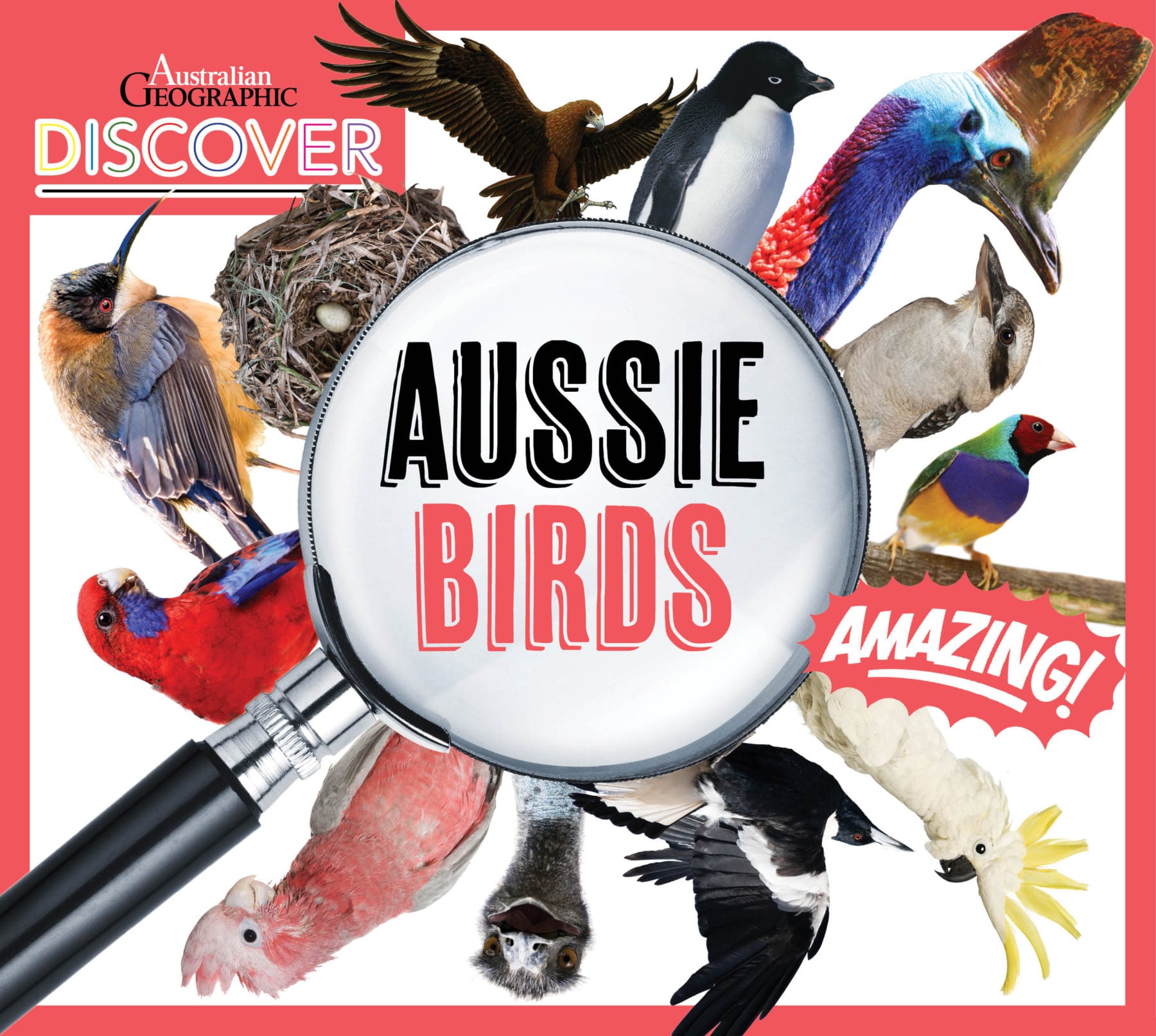 Great Gifts for Bird Lovers Australian Geographic