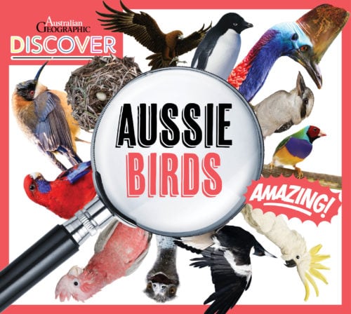 nanoblocks australian geographic
