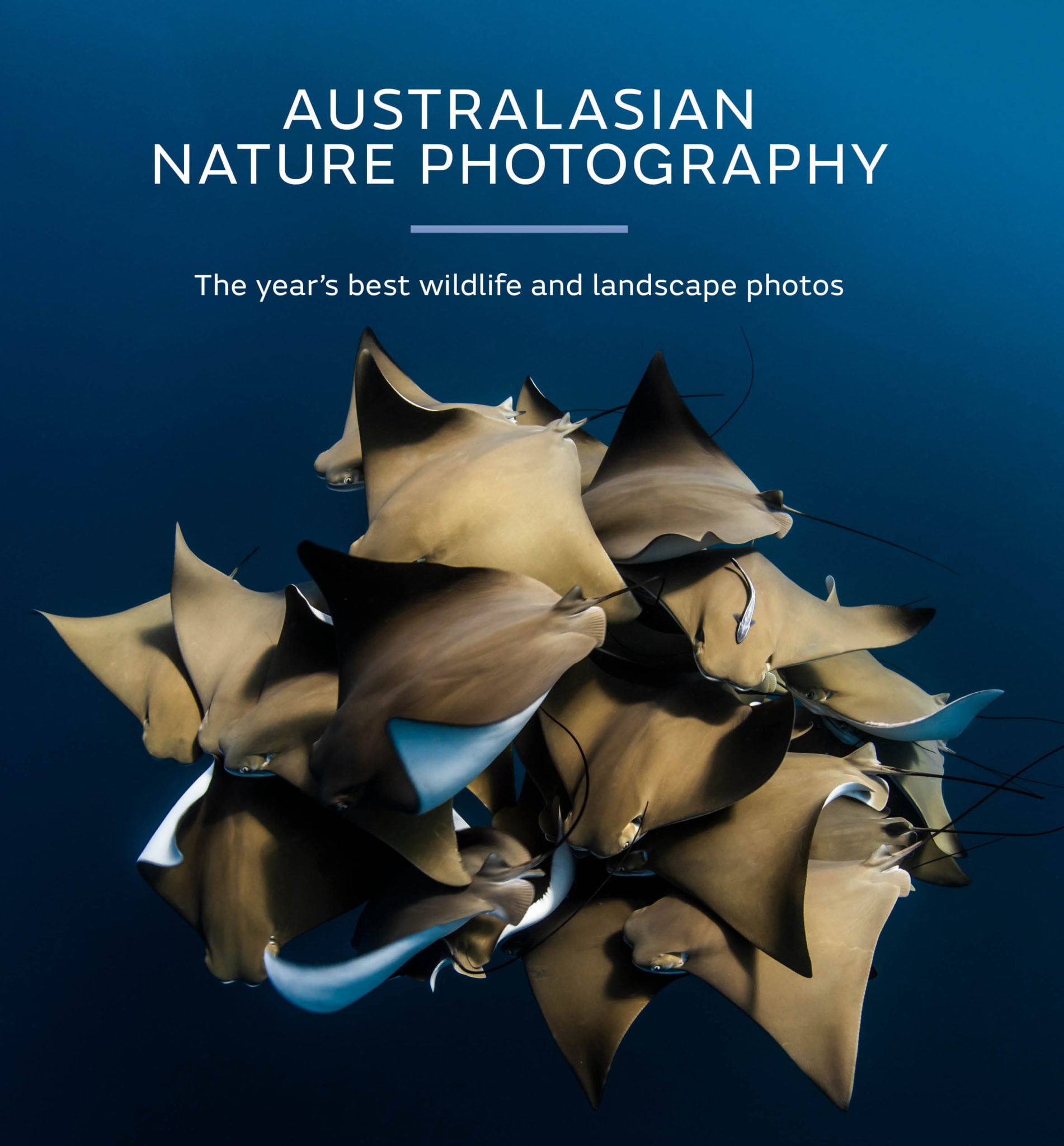 Australasian Nature Photography 2020 The Year's Best Wildlife and