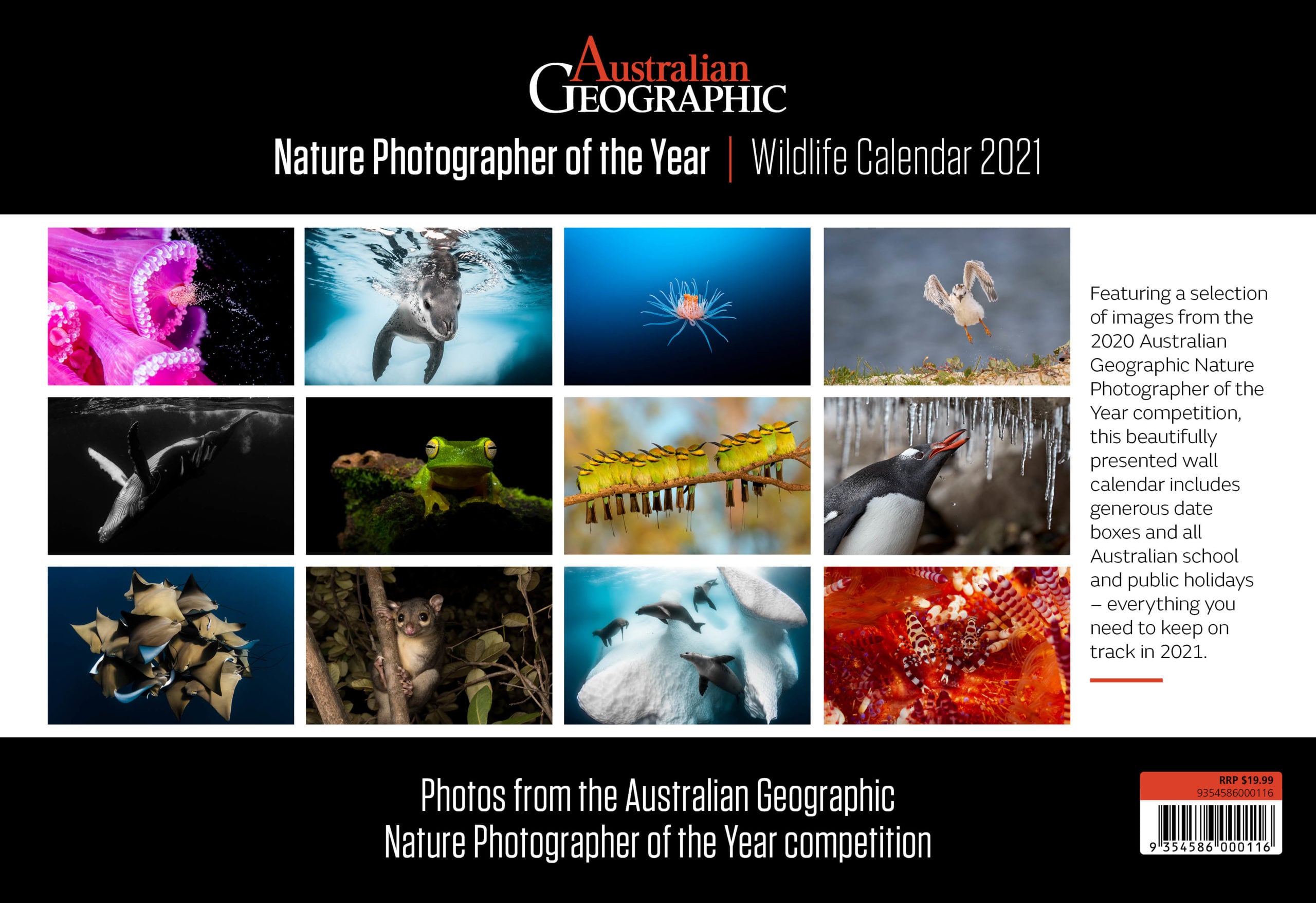 Australian Geographic Nature Photographer Of The Year Wildlife Calendar 2021 Australian Geographic wall calendar 2021 australian geographic
