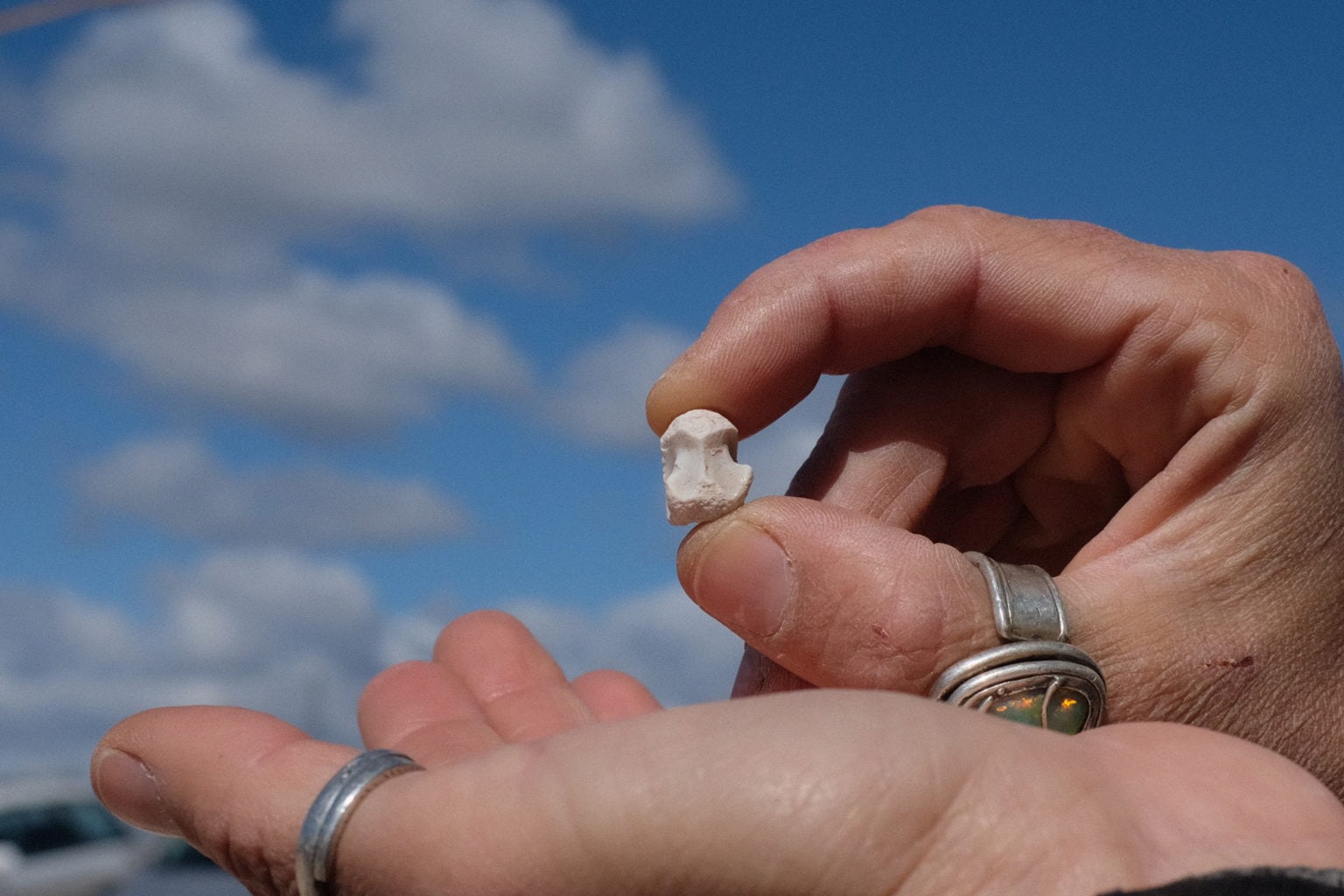 Postcards from Lightning Ridge Australian Geographic