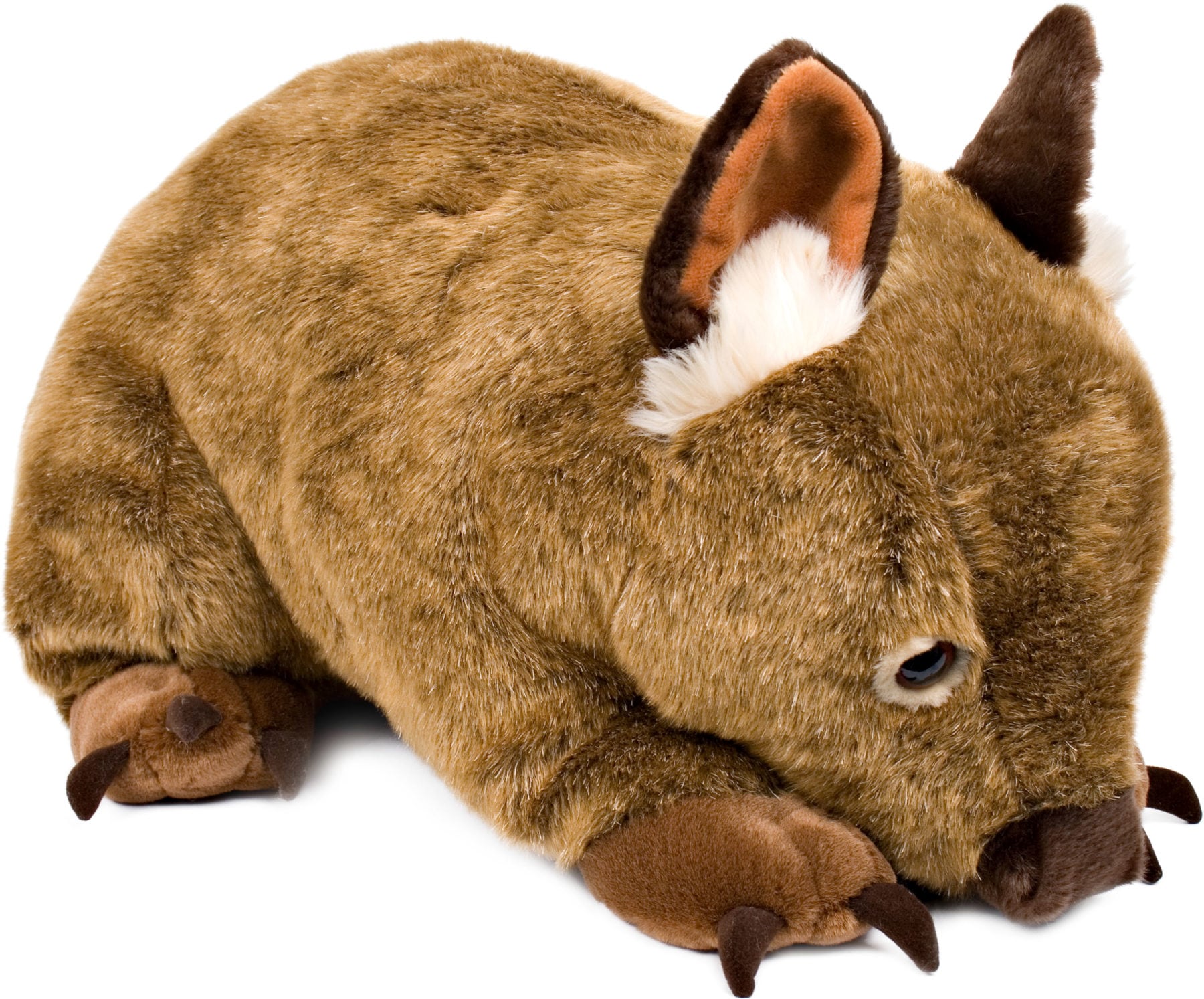 Plush Large Wombat Wayne 58cm Australian Geographic