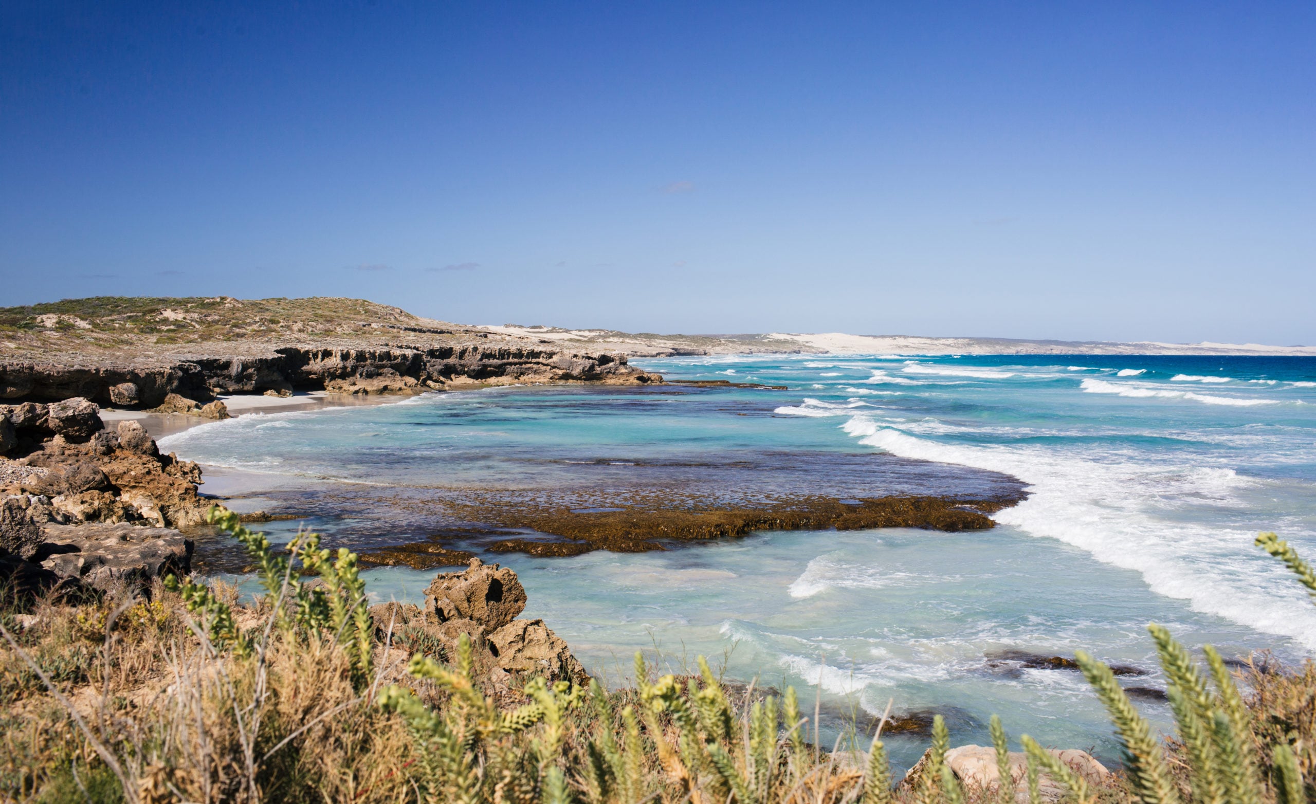 Eyre Peninsula, South Australia From the ocean to the outback Australian Geographic