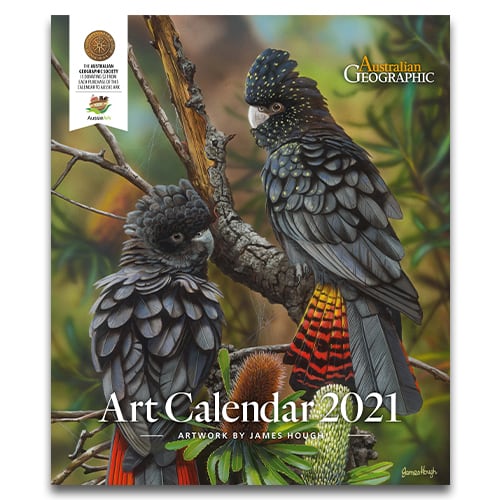 australian geographic binoculars