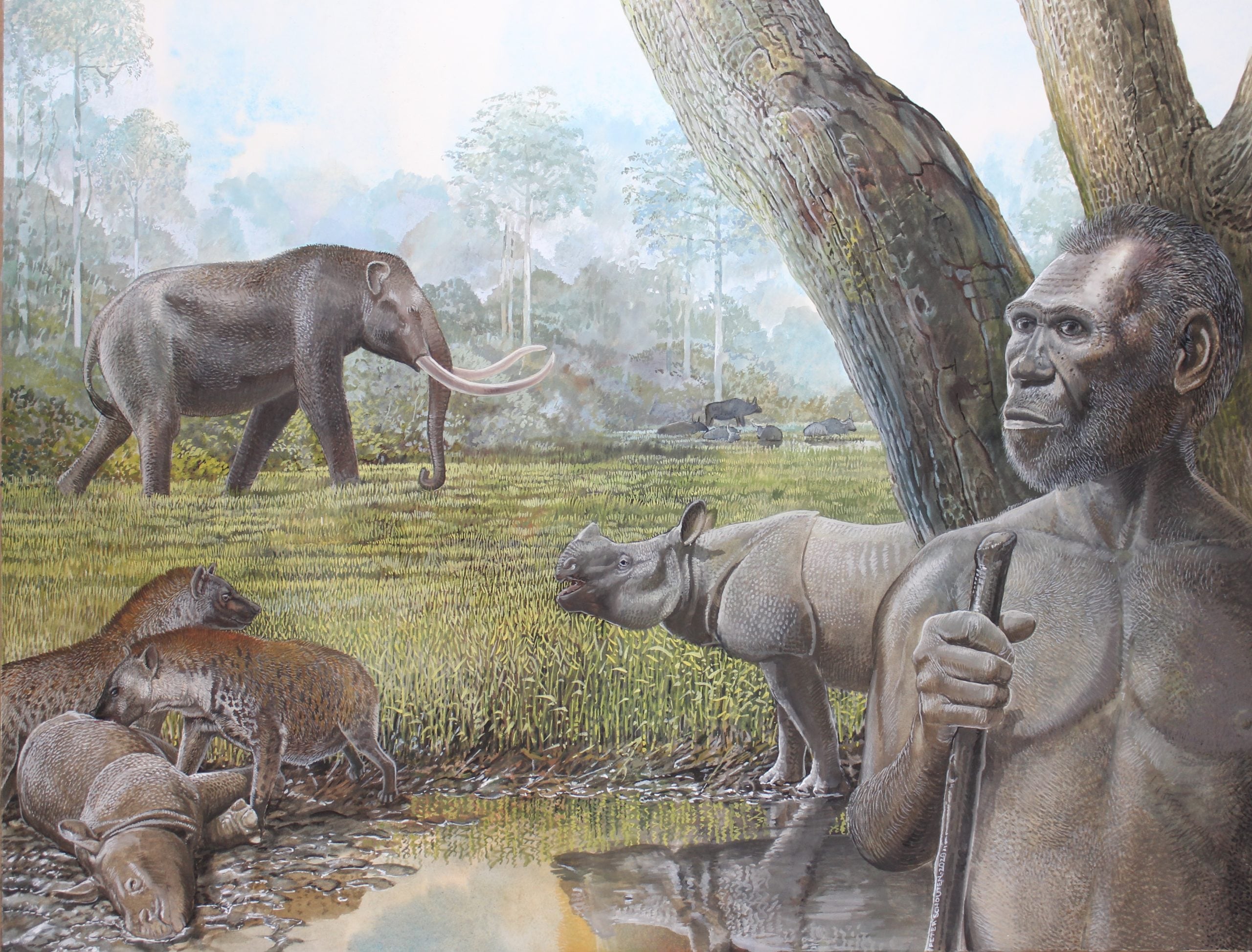 What killed off Southeast Asia's giant hyenas and other megafauna? - Australian Geographic What killed off Southeast Asia's giant hyenas and other megafauna? - Australian Geographic