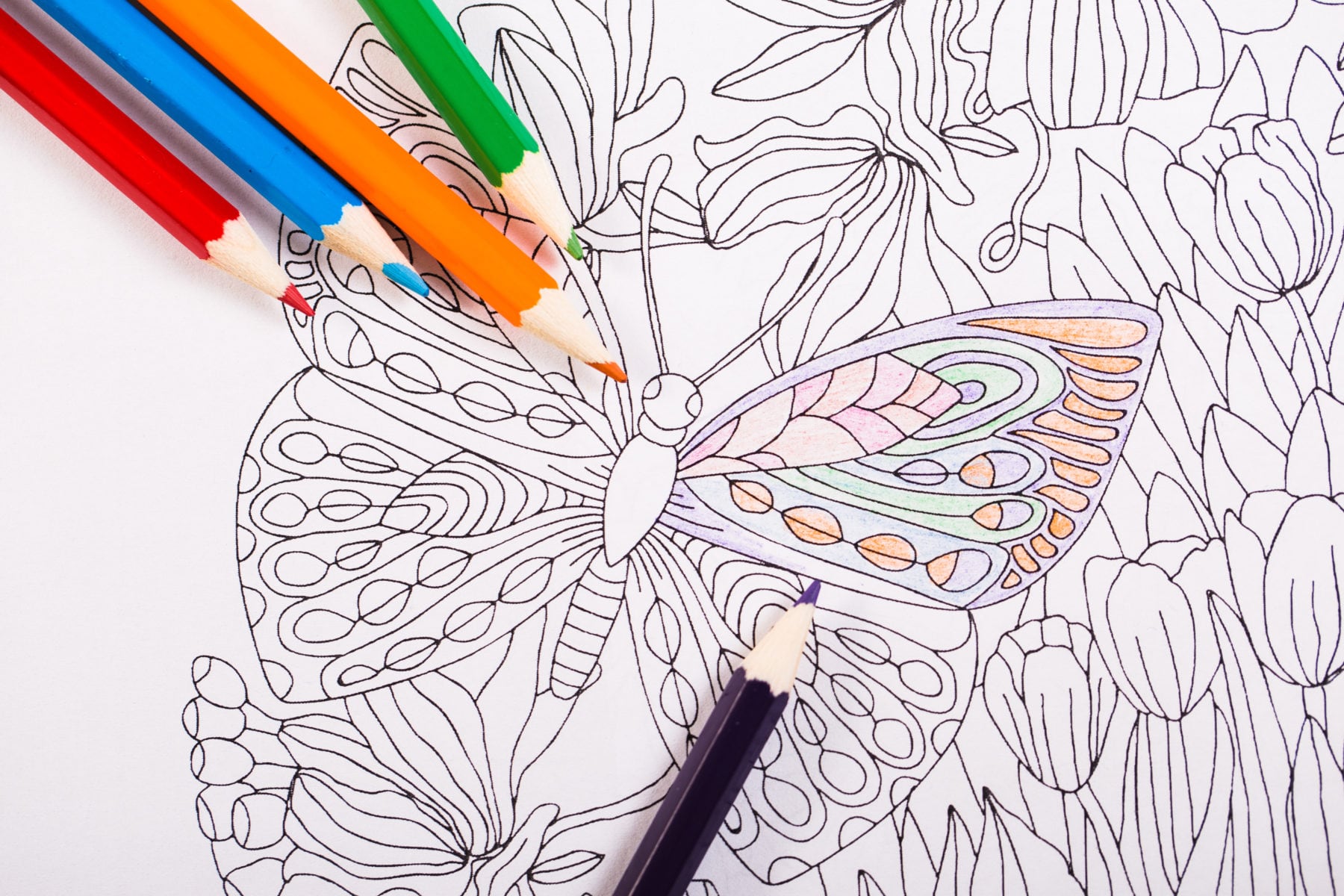 Colouring-in - Shutterstock