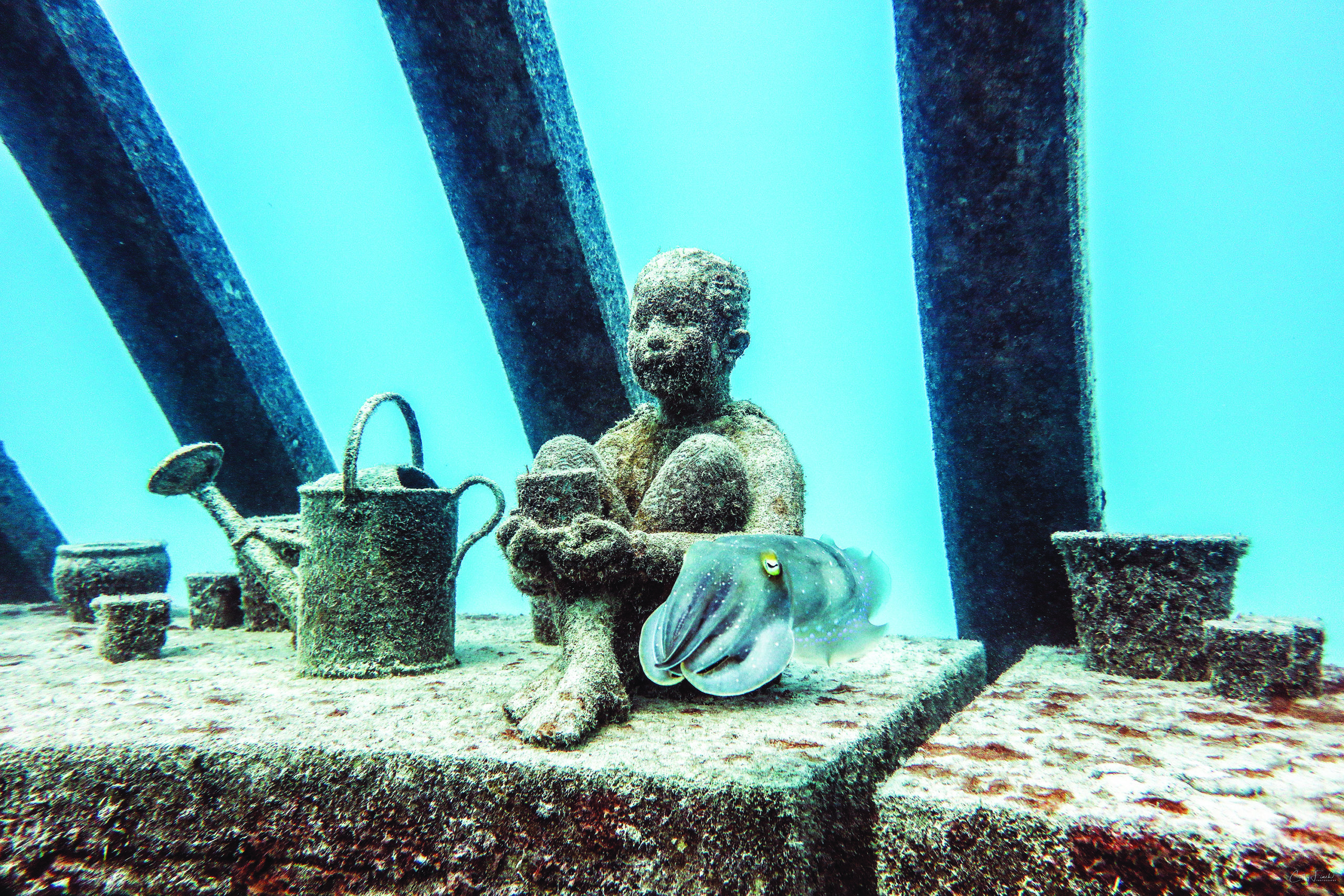 Explore the underwater art museum on the Great Barrier Reef