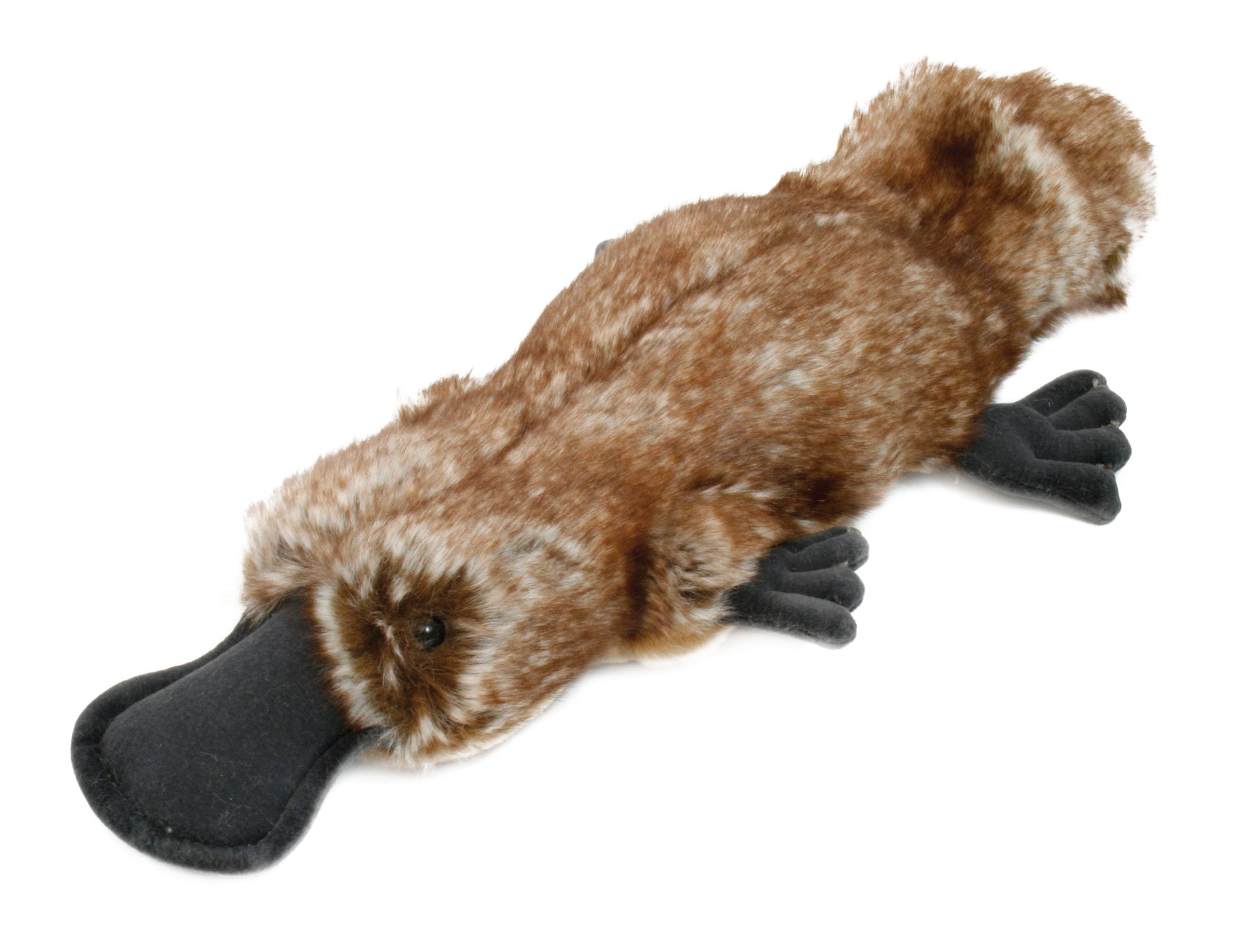 plush platypus