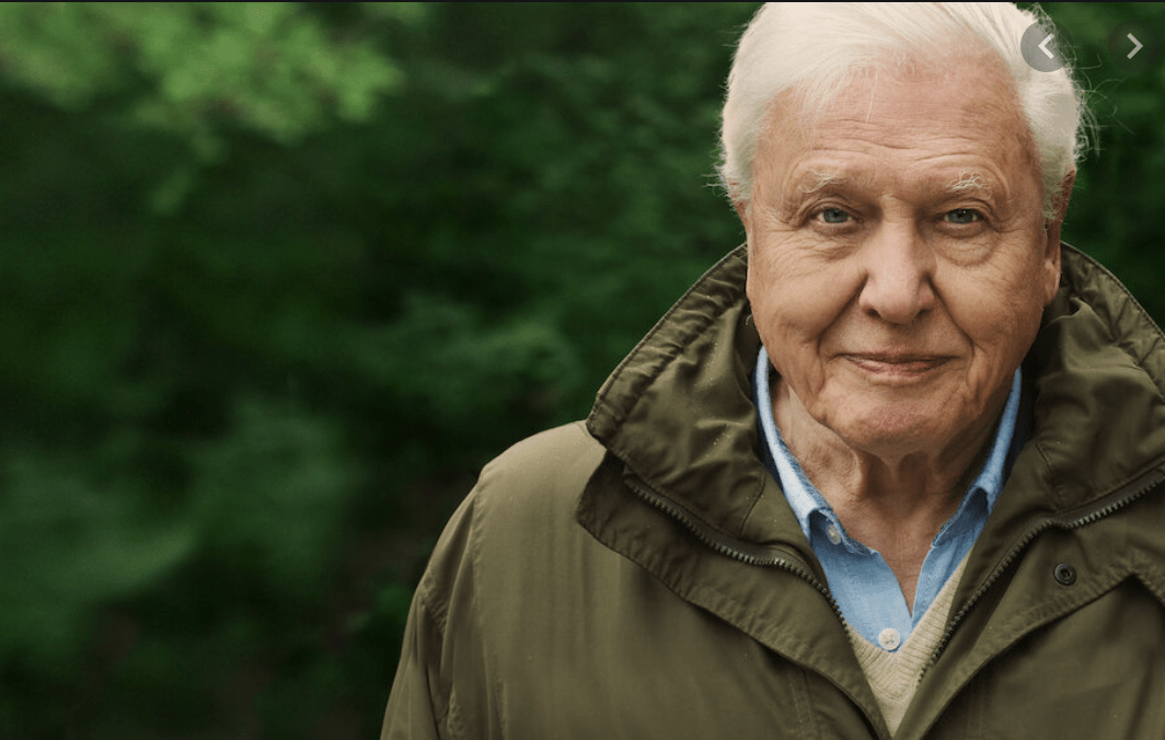 David Attenborough
