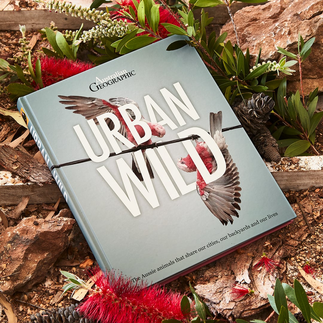 Australian Geographic