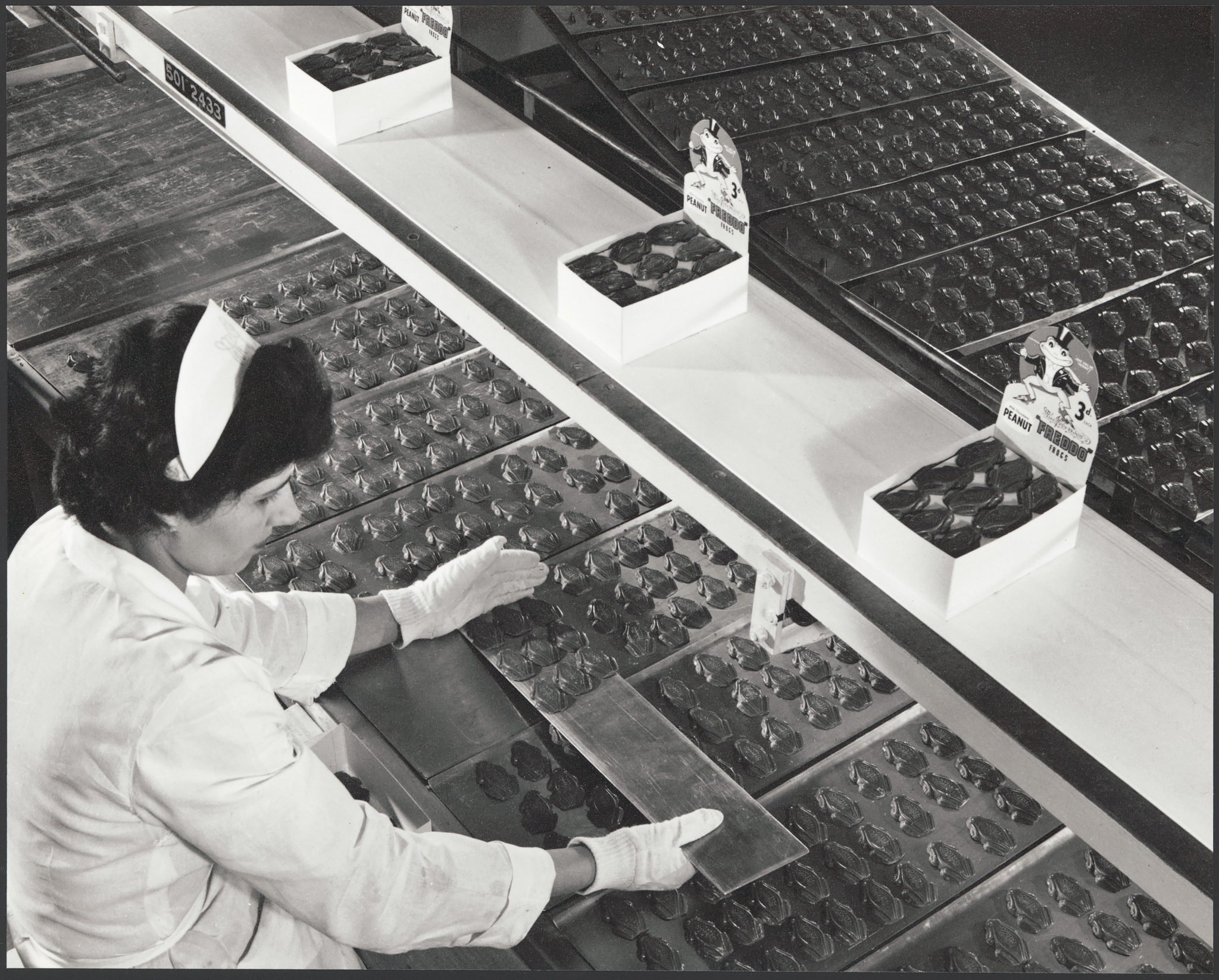 The invention of the Freddo Frog Australian Geographic