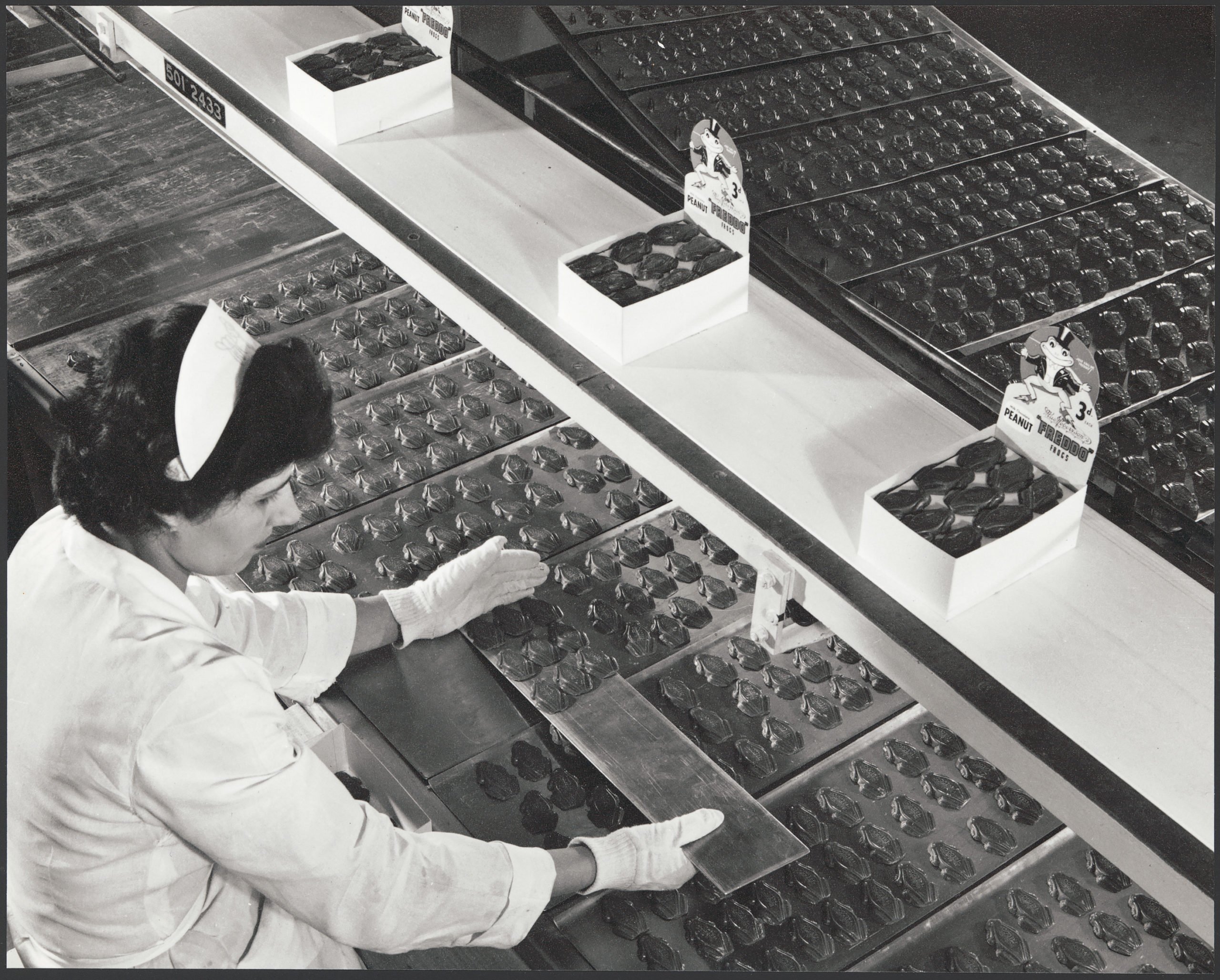 The invention of the Freddo Frog Australian Geographic