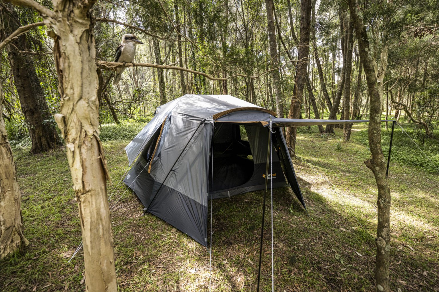 OZtrail Fast Frame Lumos 6P tent: Tested - Australian Geographic