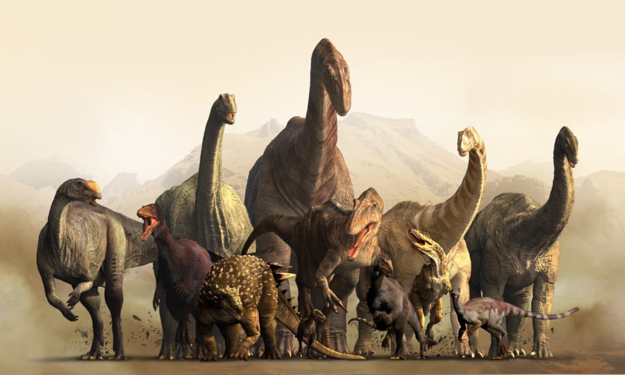 australian age of dinosaurs cost