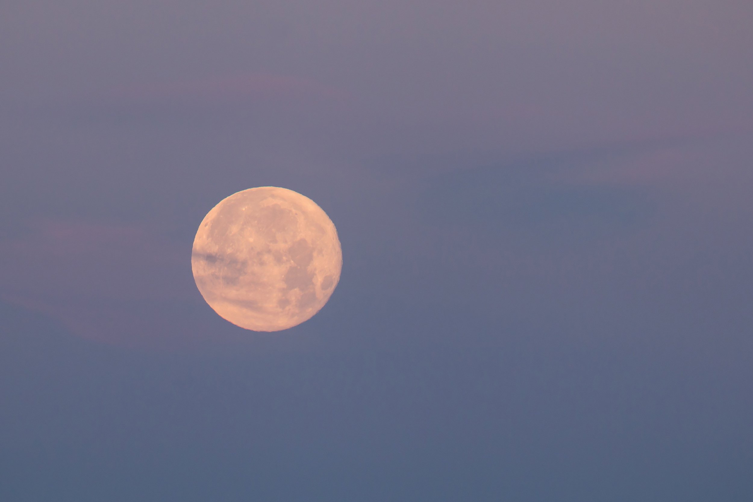 Rare pink supermoon lights up night sky Australian Geographic