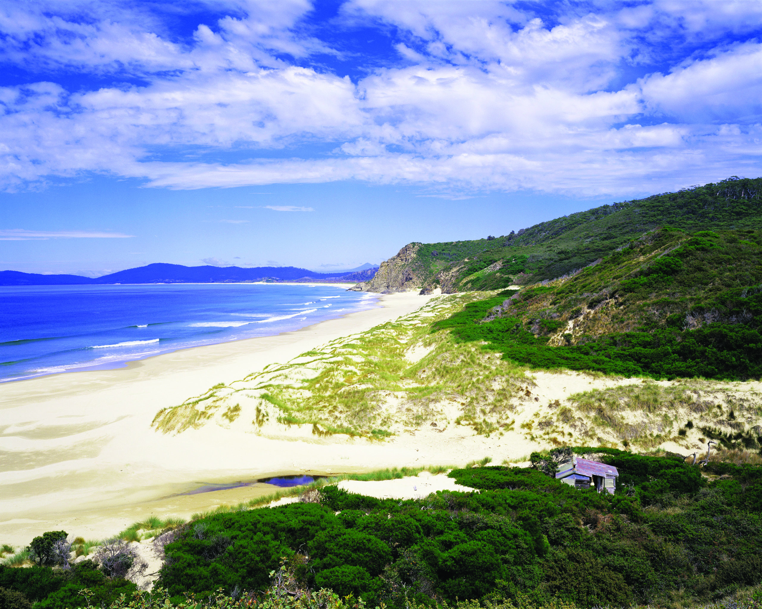 bruny island safari tour