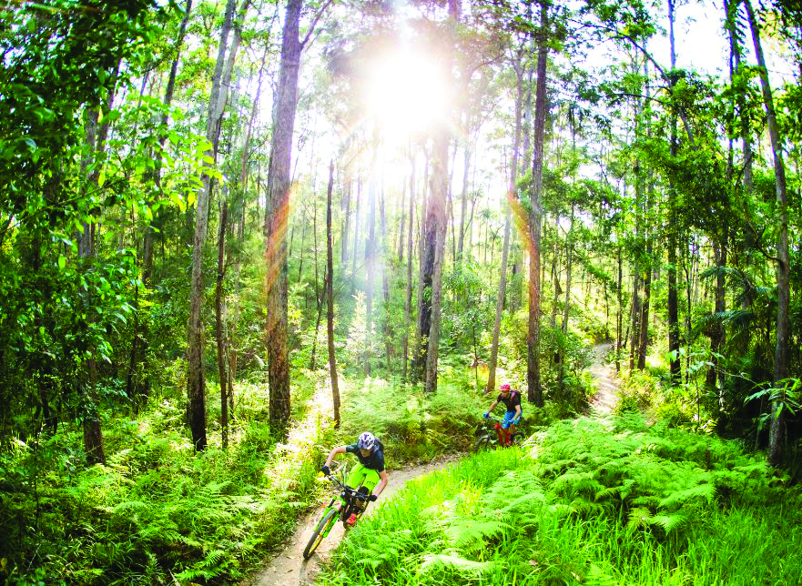 Wooroi trails hotsell