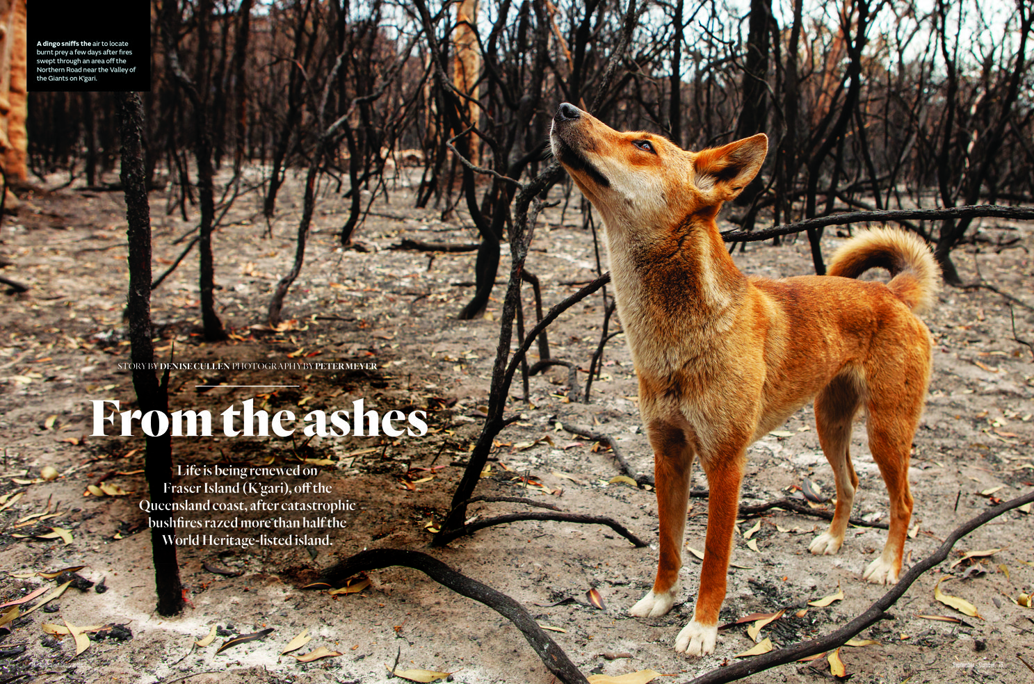 Australian Geographic