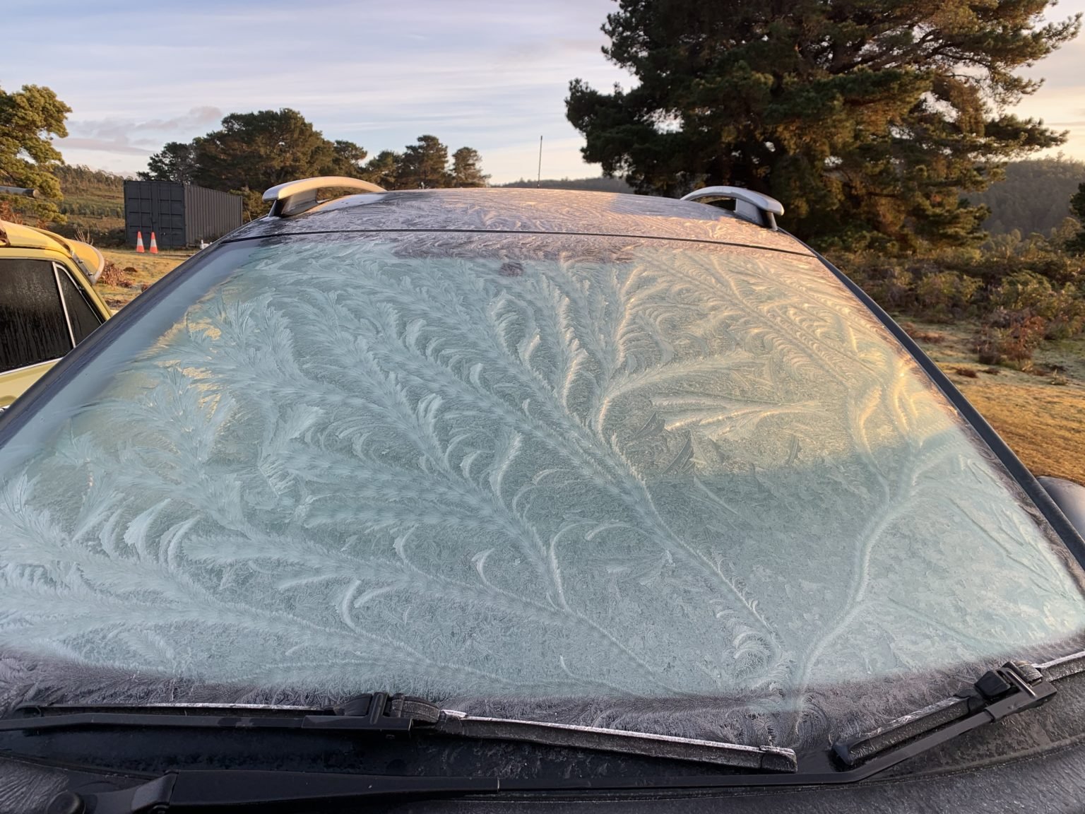 frost pattern on car windshield