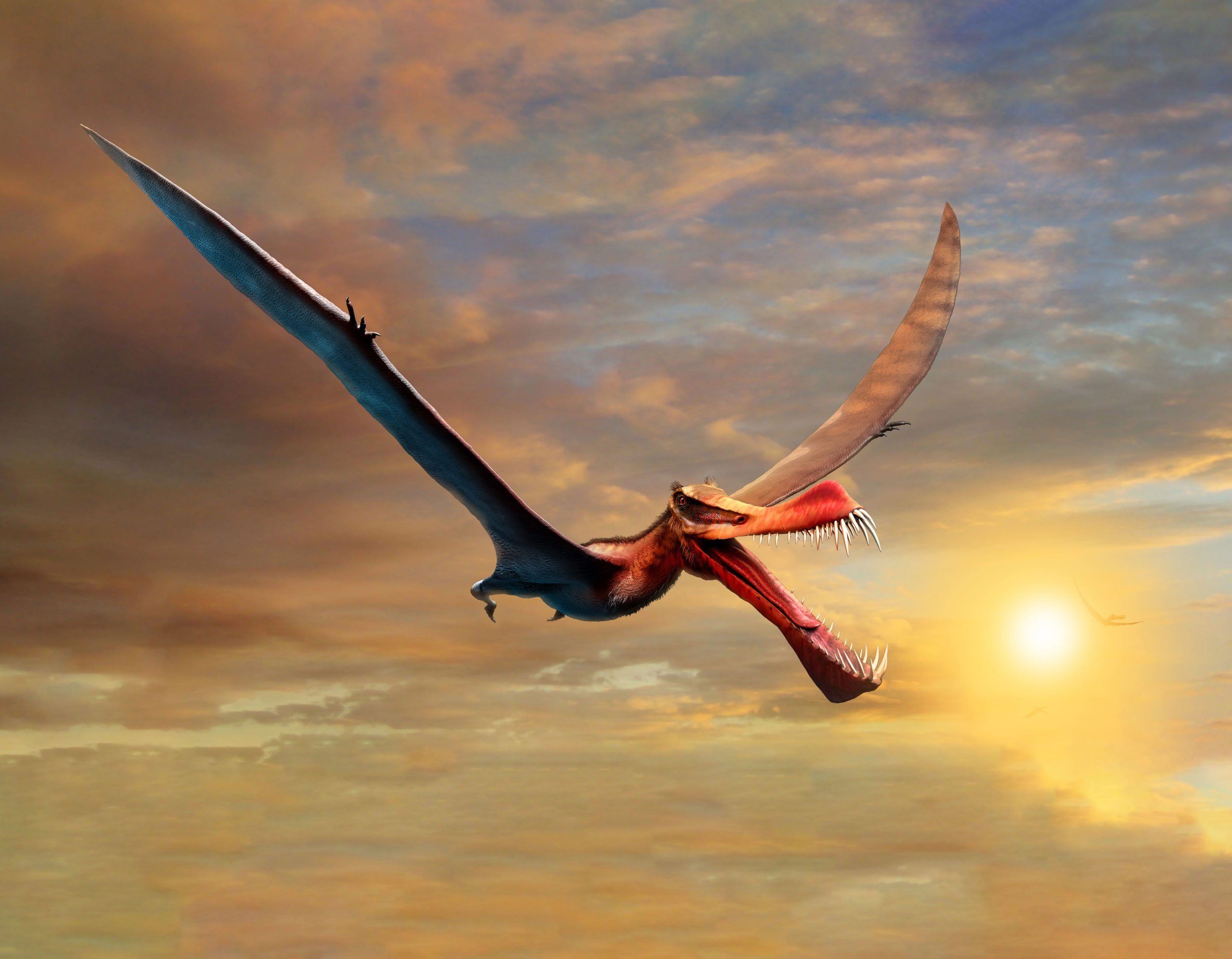 flying reptile