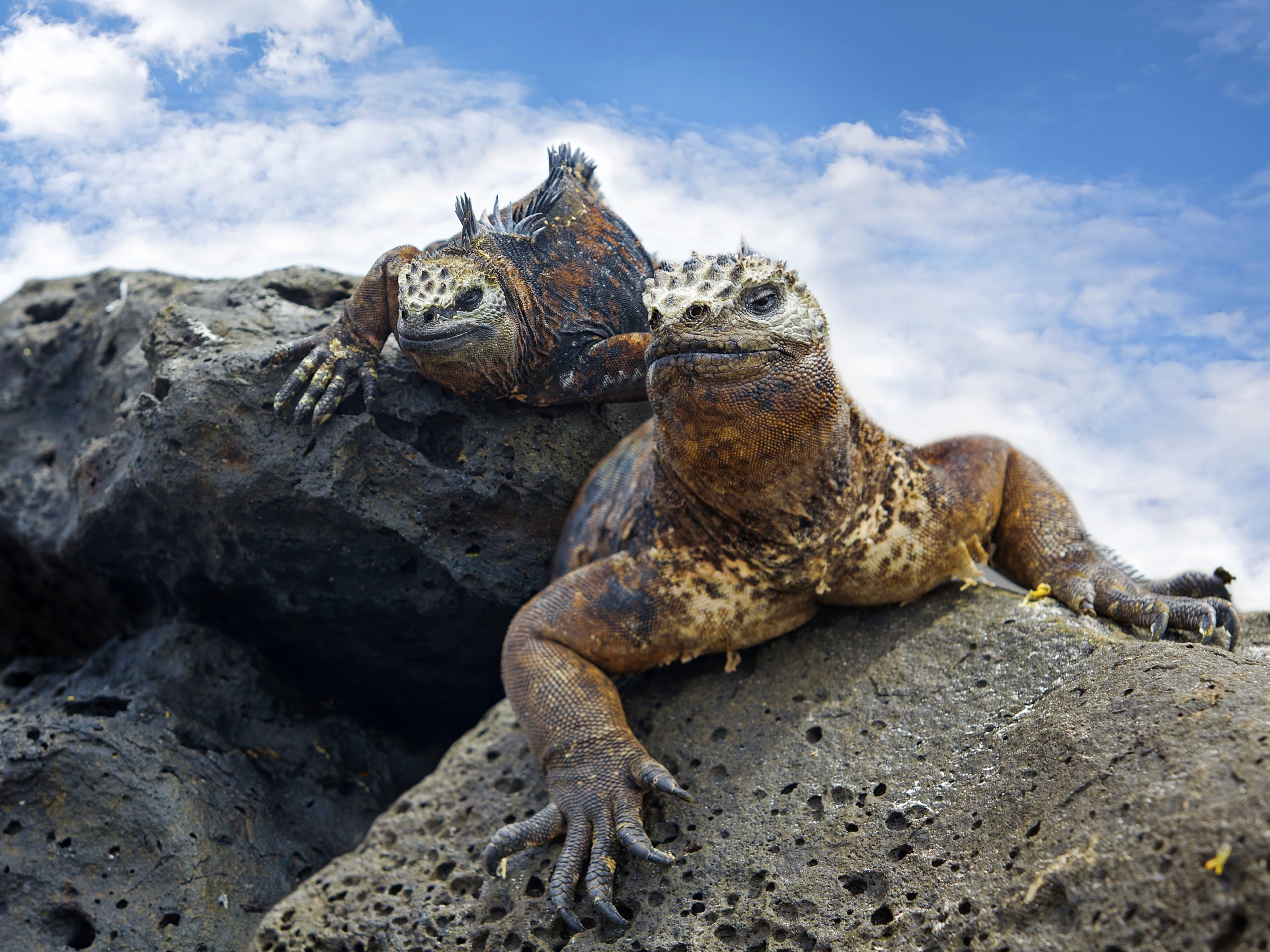 Galápagos Islands adventure: In Darwin's footsteps - Australian Geographic